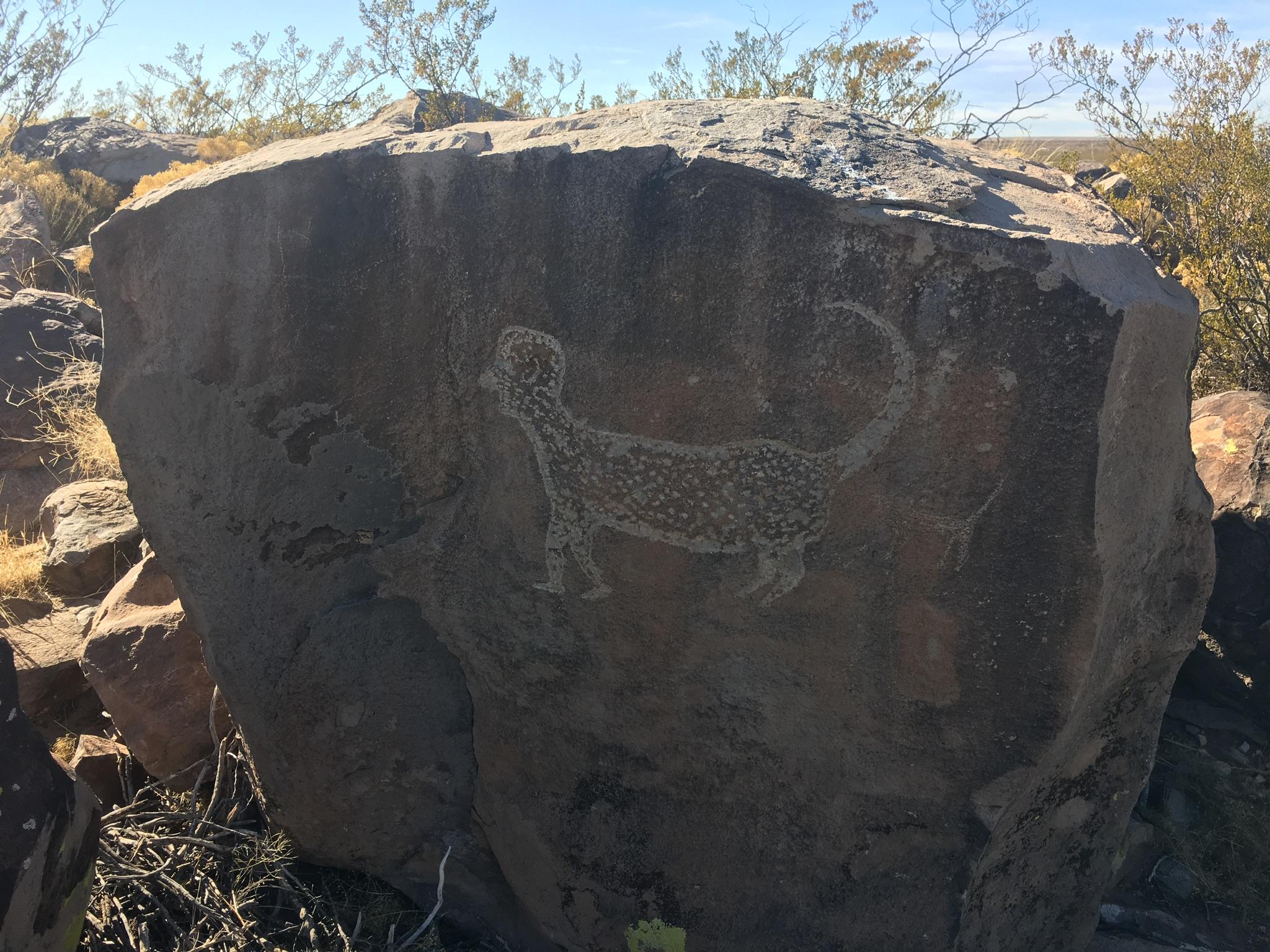 Jeep Gladiator A huge pet peeve: graffiti for Instagram 421AD75F-A77D-4026-9CE3-260D9269A317