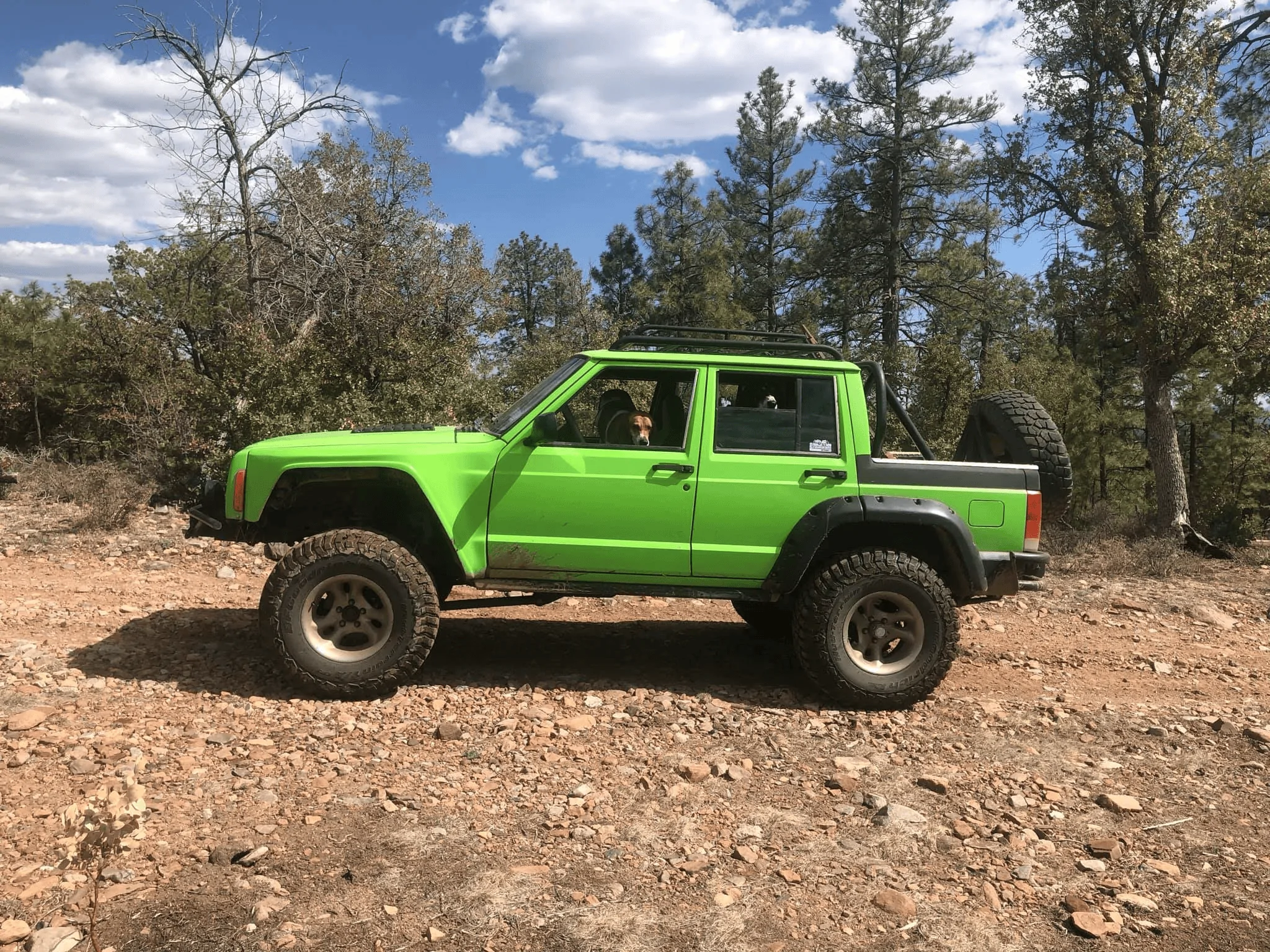 Jeep Gladiator Has anyone "doggified" their entire rear section? 1647386615596