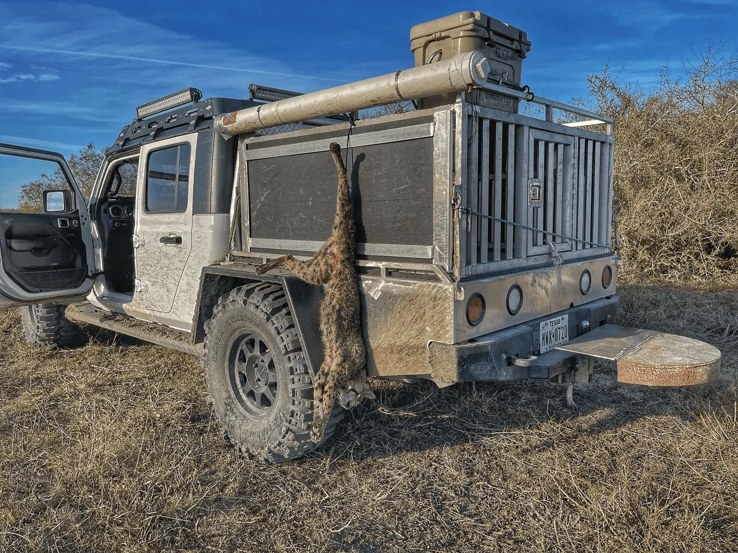 Jeep Gladiator Has anyone "doggified" their entire rear section? 1647387073754