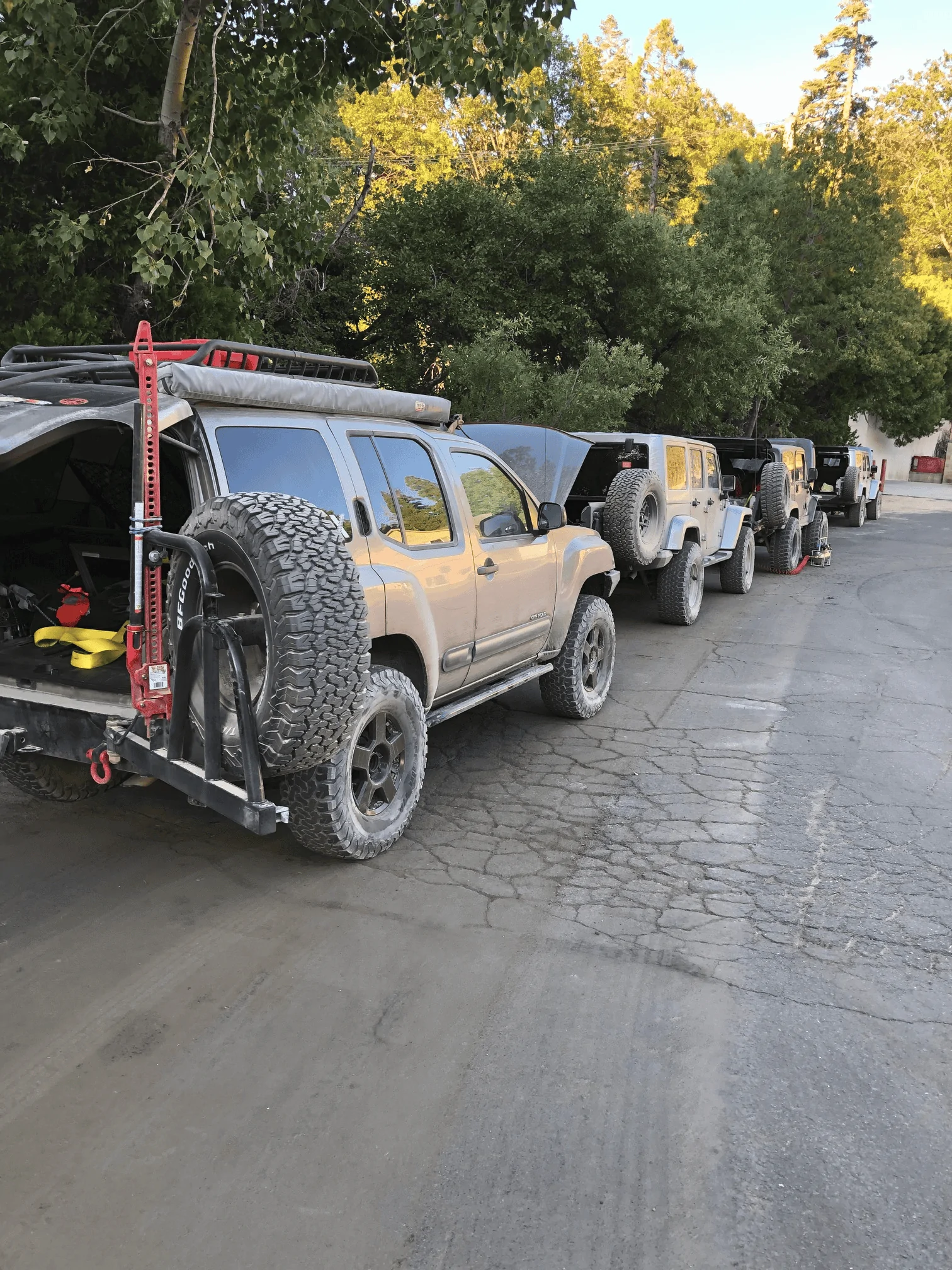 Jeep Gladiator Projected's Sting Grey, 37", MC 3.5 Rubicon Build 1647782555365