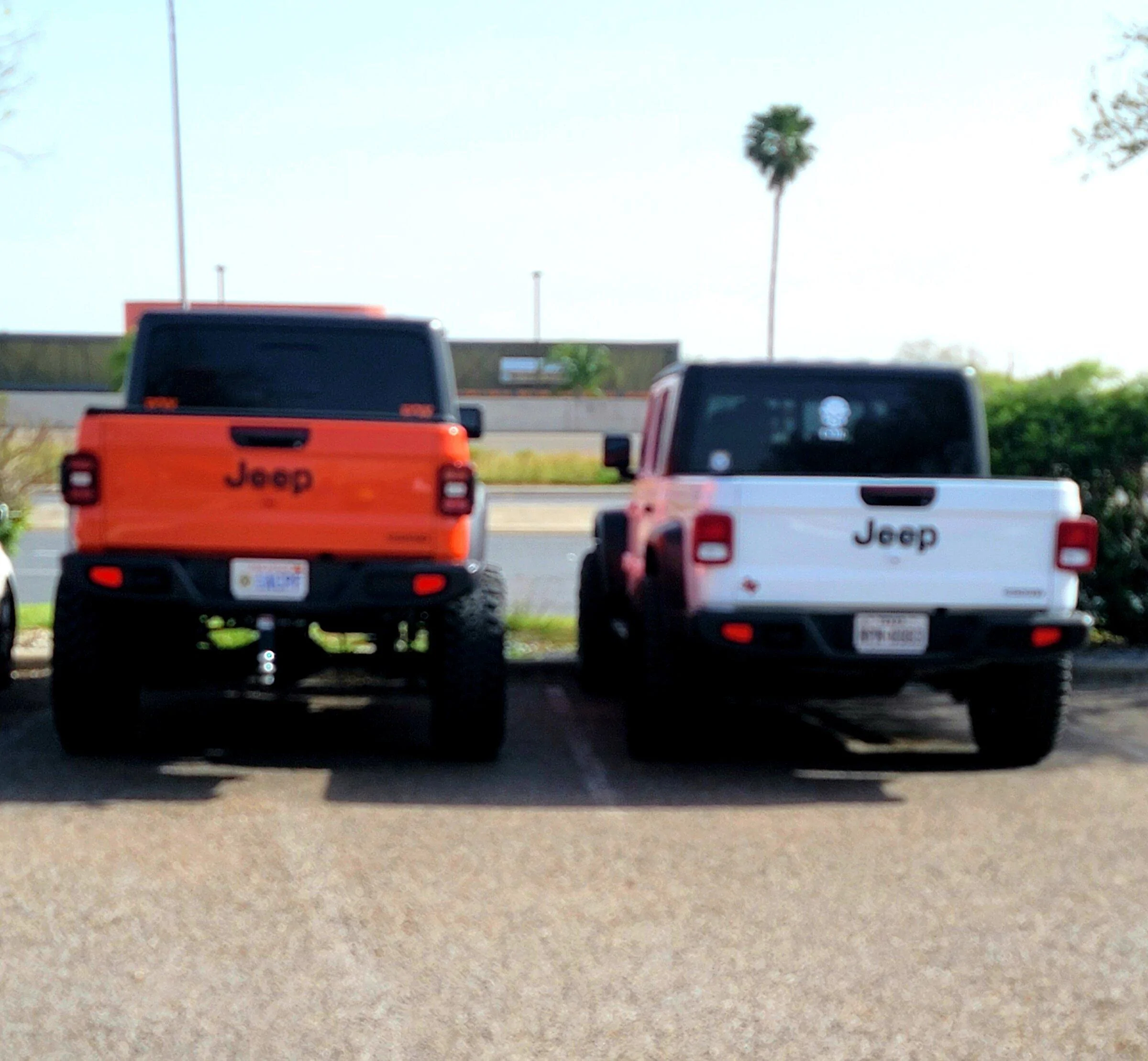 Jeep Gladiator Jeeps Parking Next To Jeeps 20220323_165554