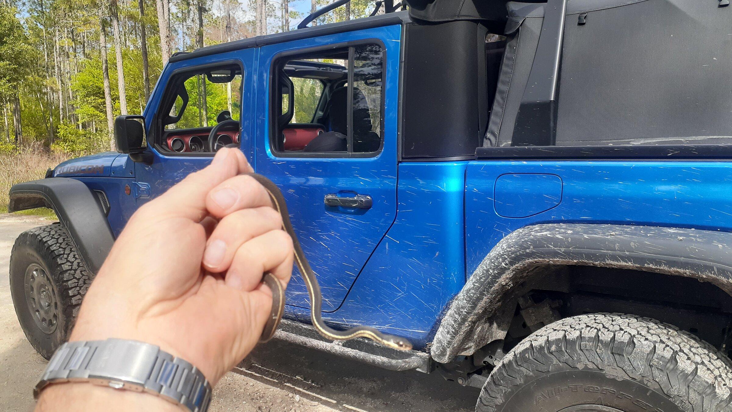 Jeep Gladiator What did you CATCH with your Gladiator today? 20220325_162549