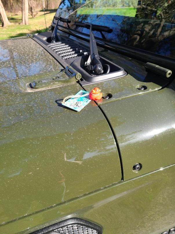 Jeep Gladiator Got my first duck! 20220326_093722