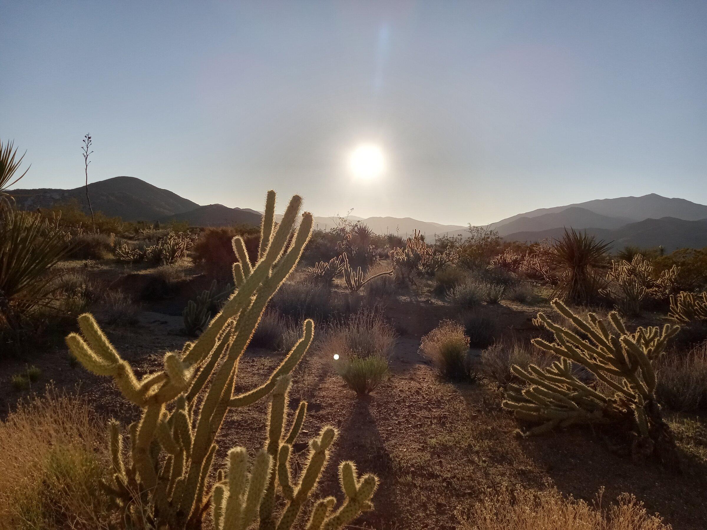 Jeep Gladiator Anza Borrego, Blair Valley,Diablo Drop Off, Fish Creek chollasun