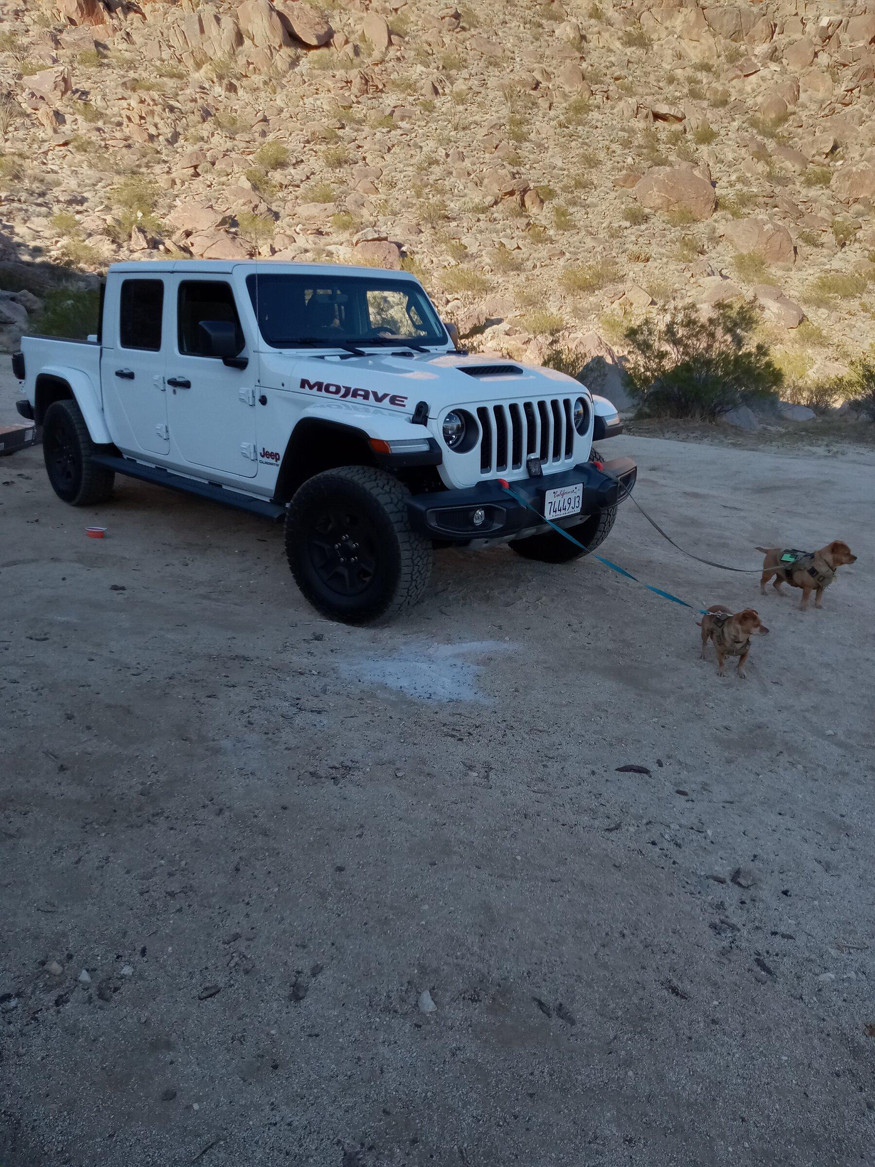 Jeep Gladiator Anza Borrego, Blair Valley,Diablo Drop Off, Fish Creek puptow