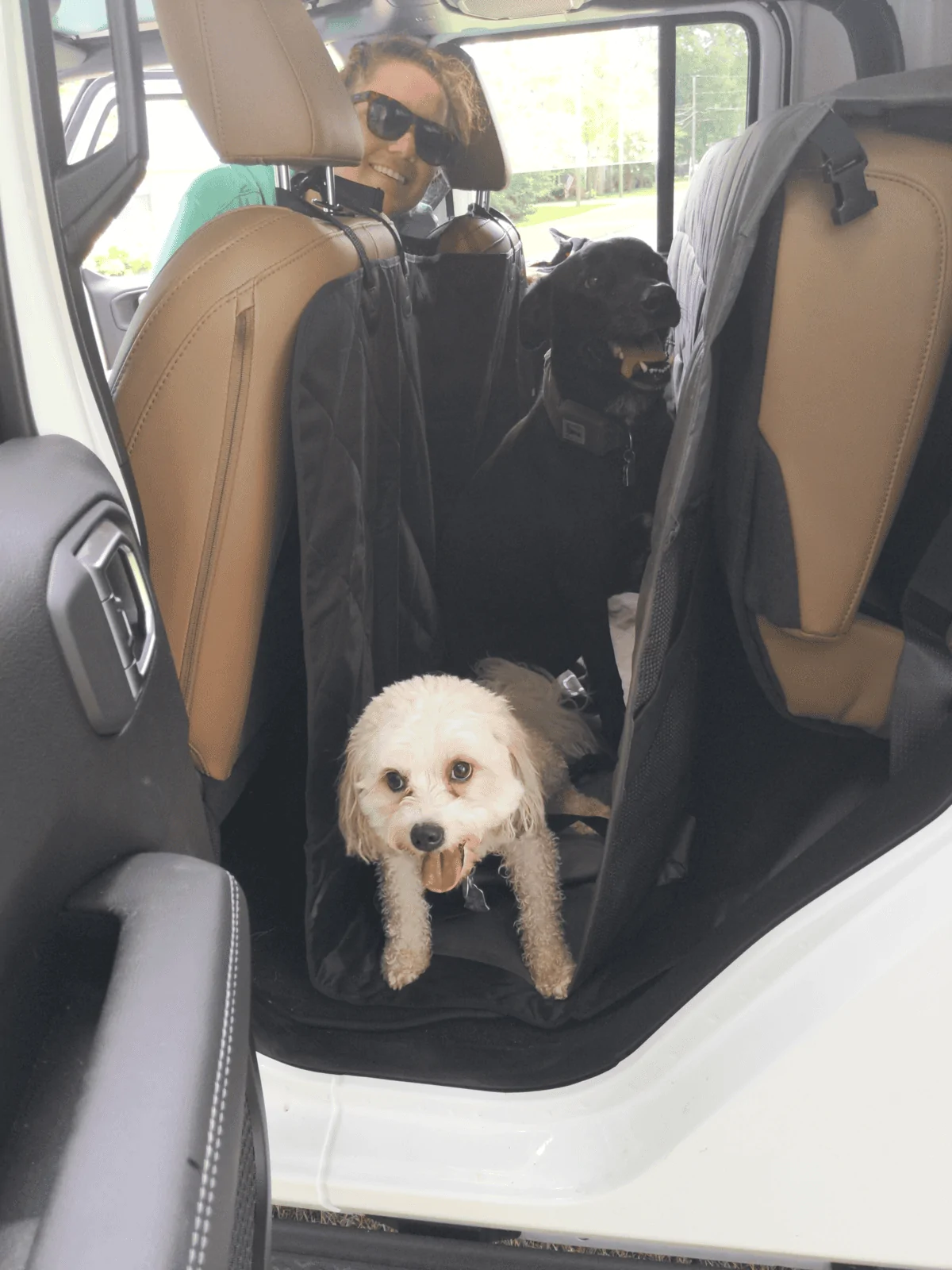 Jeep Gladiator Glad(iator) Dogs! Let's see 'em! upload_2019-7-15_8-37-19