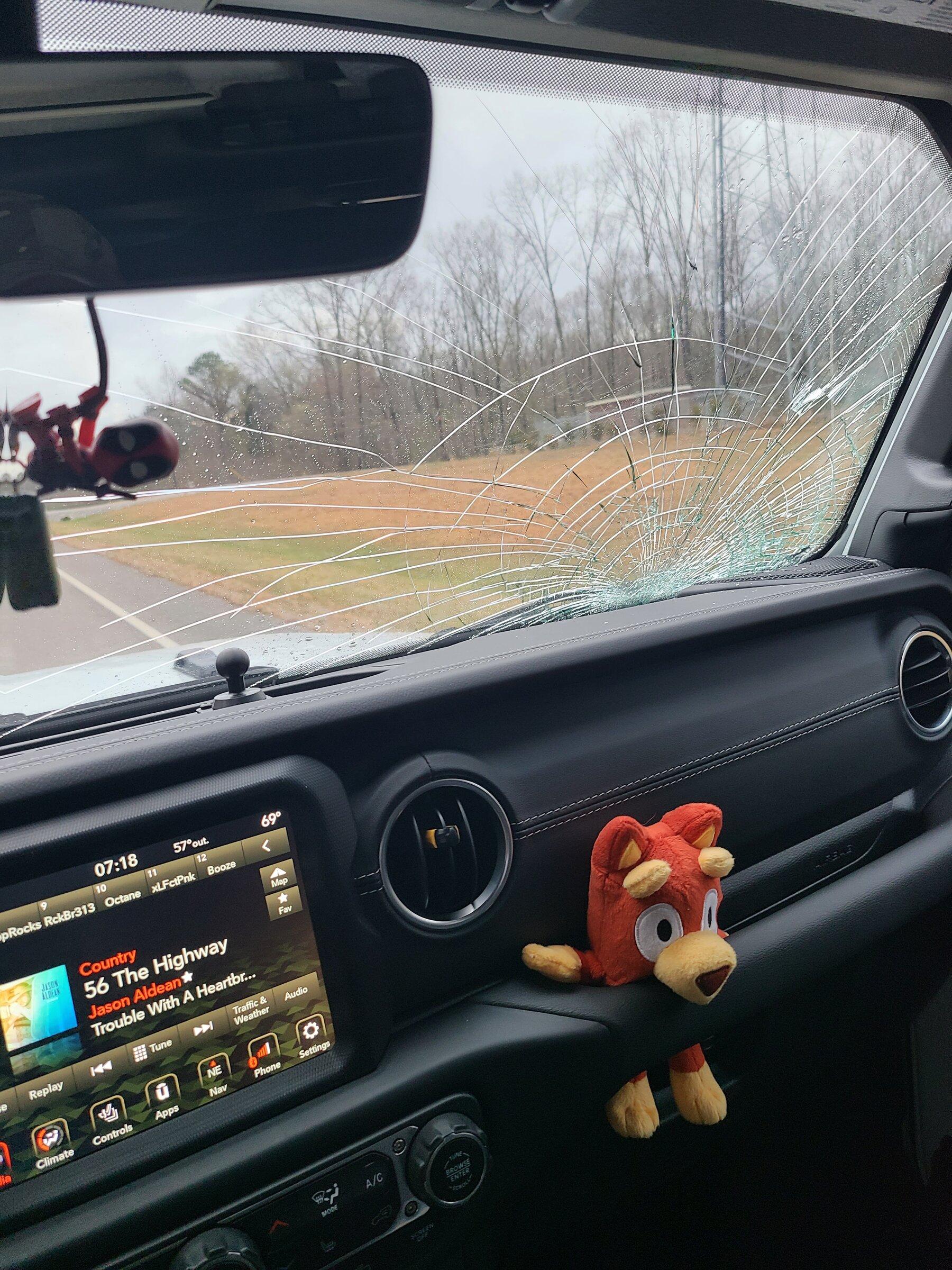 Jeep Gladiator Was attacked by a turkey today 20220331_071820