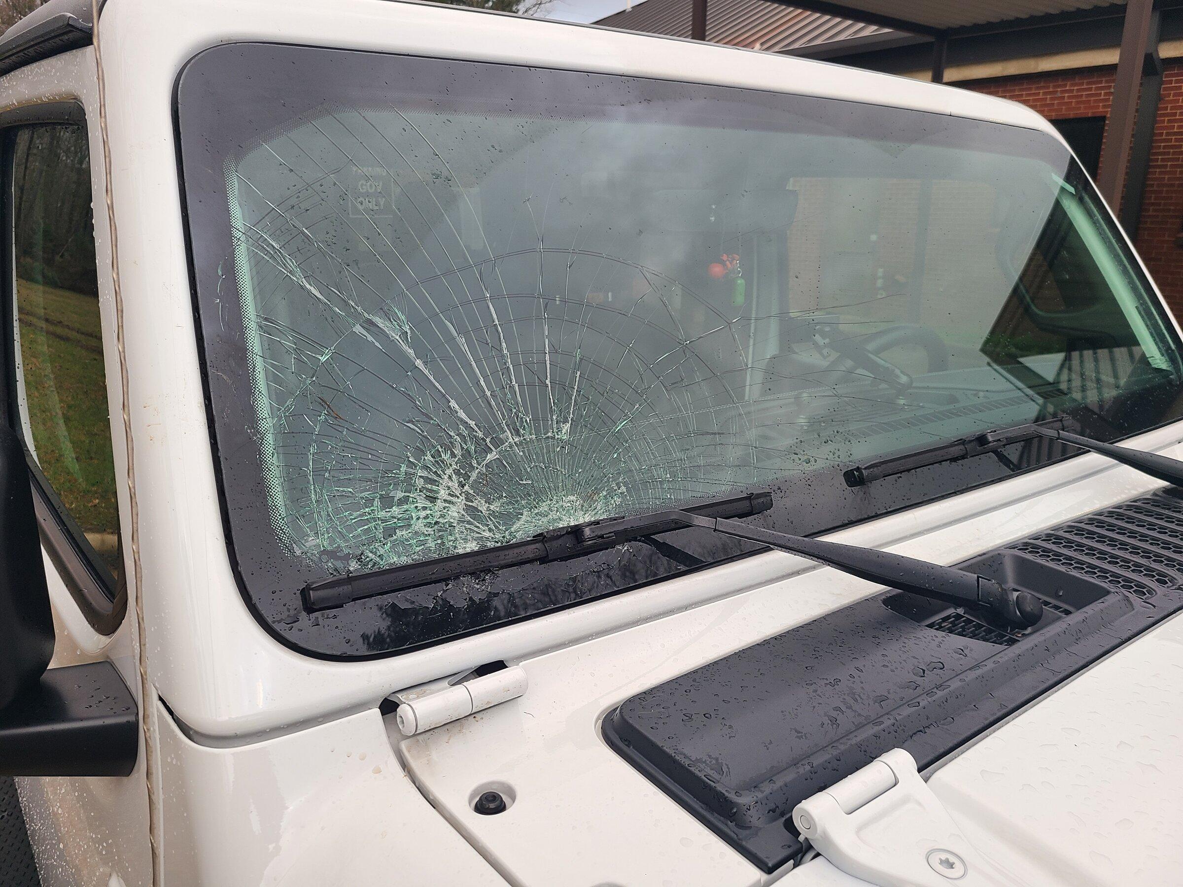 Jeep Gladiator Was attacked by a turkey today 20220331_072503