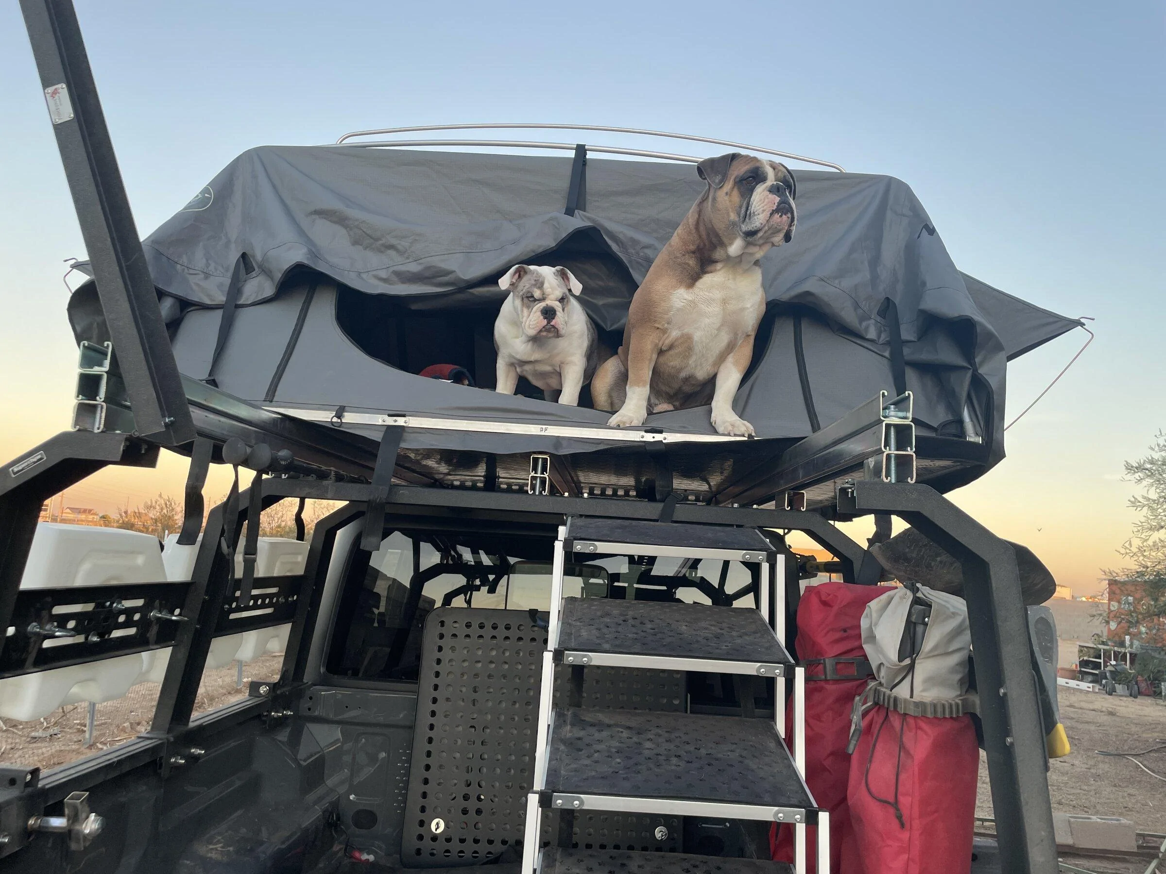 Jeep Gladiator Let’s see your pets cause they are the best companion you can have!!!!! 61590983-0D1E-4D85-A448-8BA0289C936B