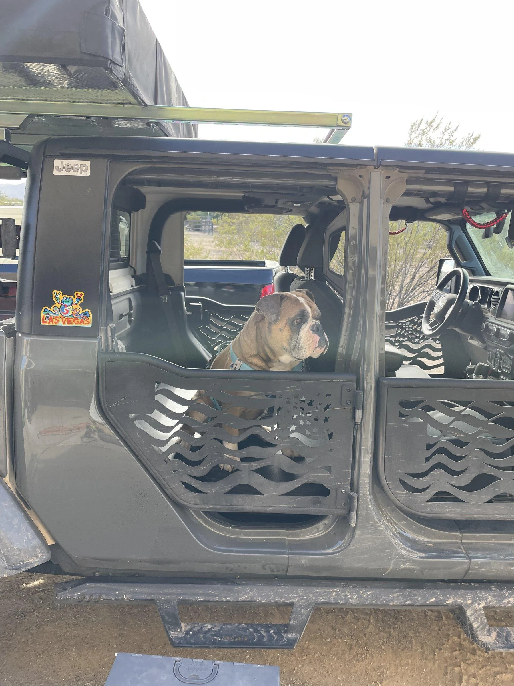 Jeep Gladiator Let’s see your pets cause they are the best companion you can have!!!!! 528AAF88-728E-4220-A132-B8E1619E05A2