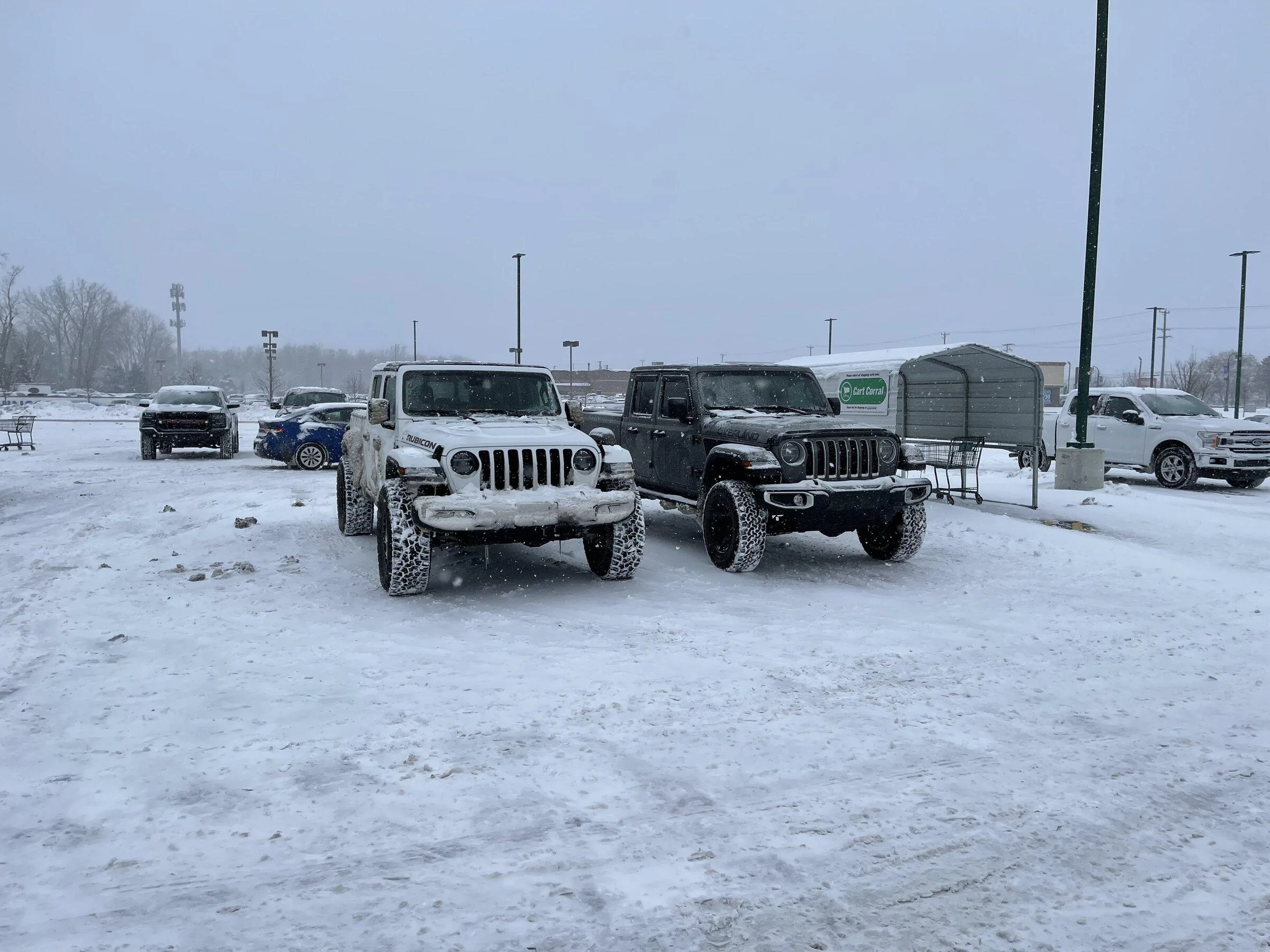 Jeep Gladiator Jeeps Parking Next To Jeeps 4E4901A2-E0B0-4A7B-AA60-8C26C3B28C80