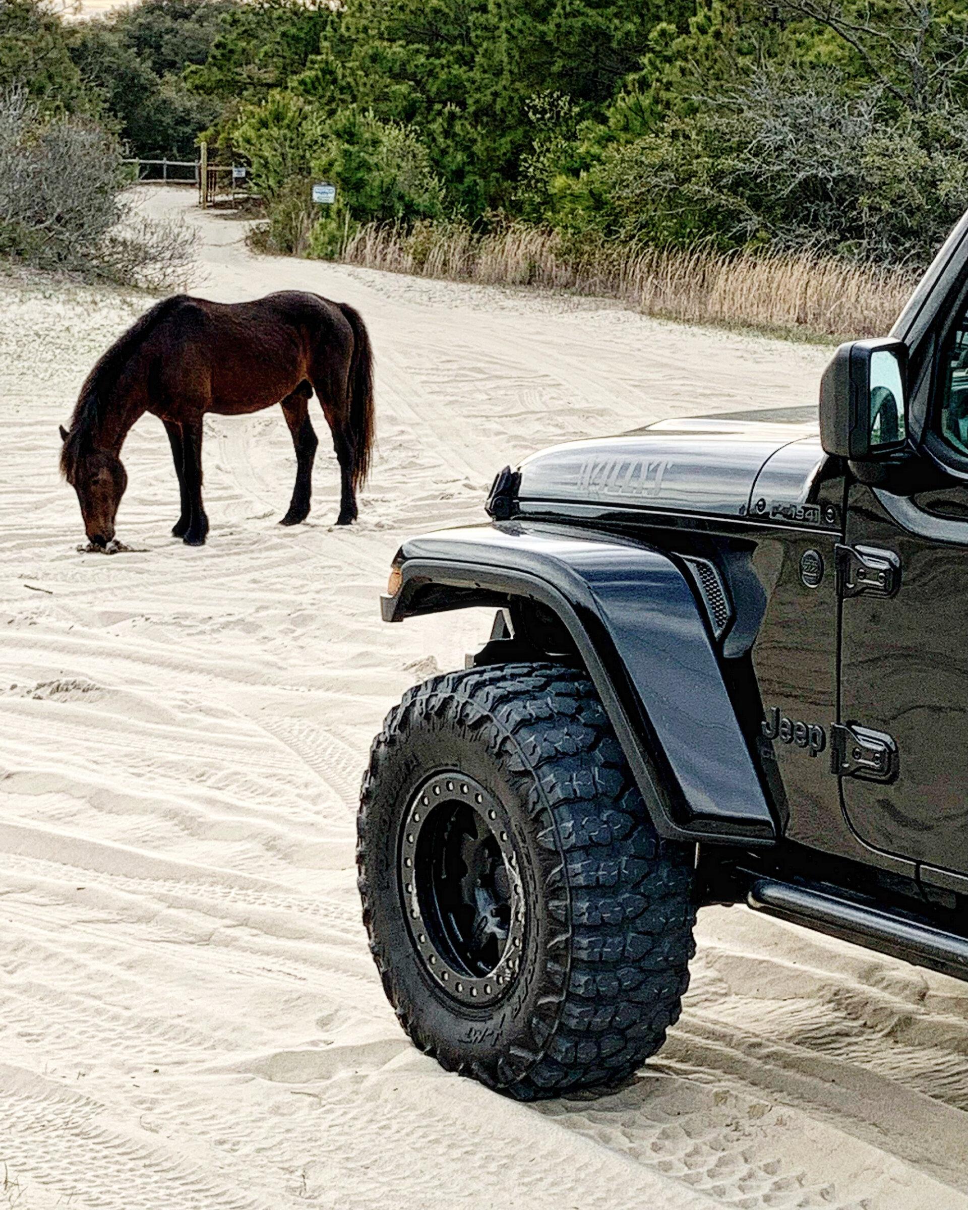 Jeep Gladiator Lets see those Gladiator Beach pics F4CE852A-3DAC-4EC8-8A6A-AEB16A2192D5