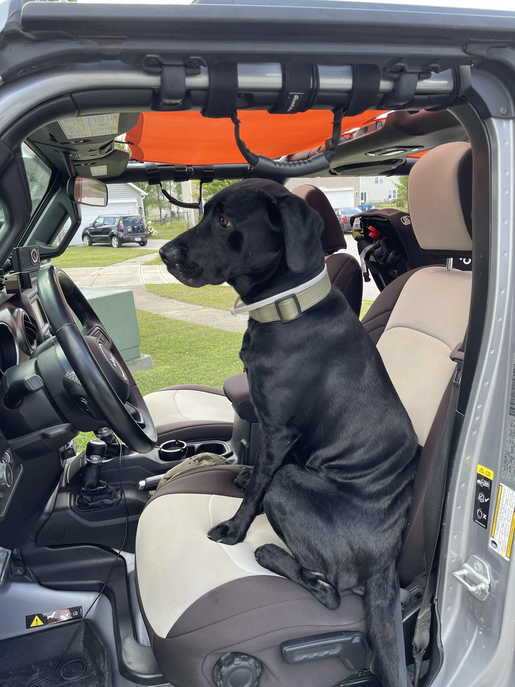 Jeep Gladiator Show me your furry Co-Pilots. 295A4984-ED63-4B24-BC63-F2B6664F5D28