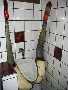 Jeep Gladiator O 11bcf991e62c51c7f5fc5b7634e14533--bathroom-humor-bathroom-art