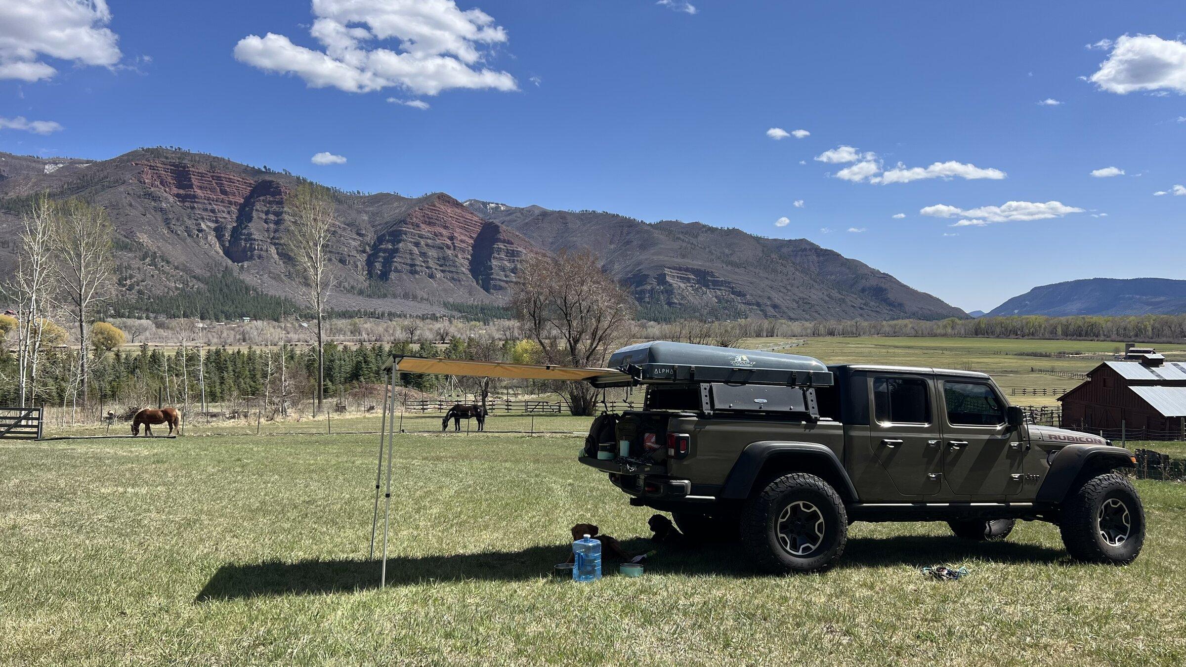 Jeep Gladiator What did you do WITH your Gladiator today? 6EA1890D-1834-4160-8DB7-47BCC5AC310C