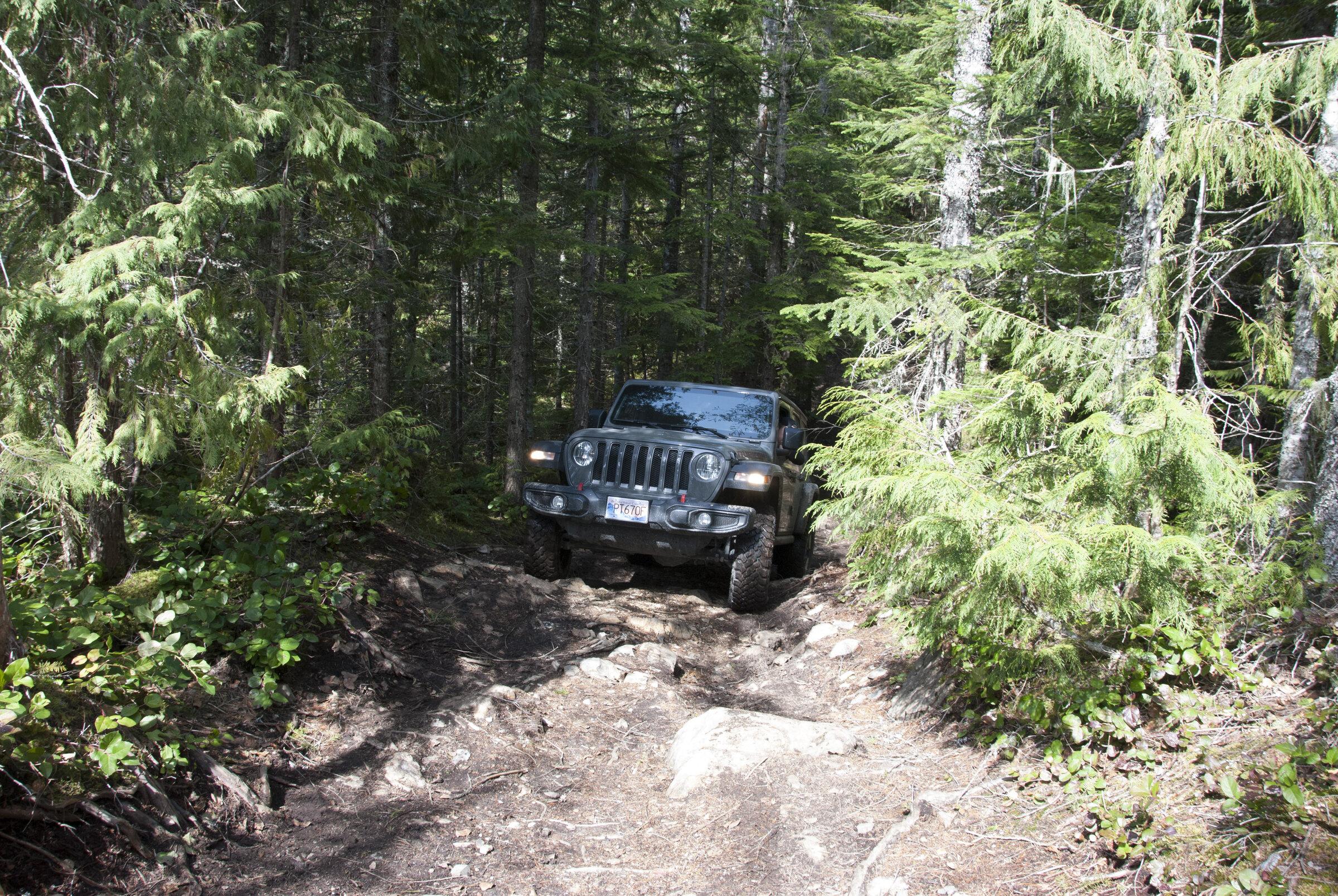 Jeep Gladiator #teamGF #CDR - JT Gladiator Overland Build (Blucid) jeepjeep_1