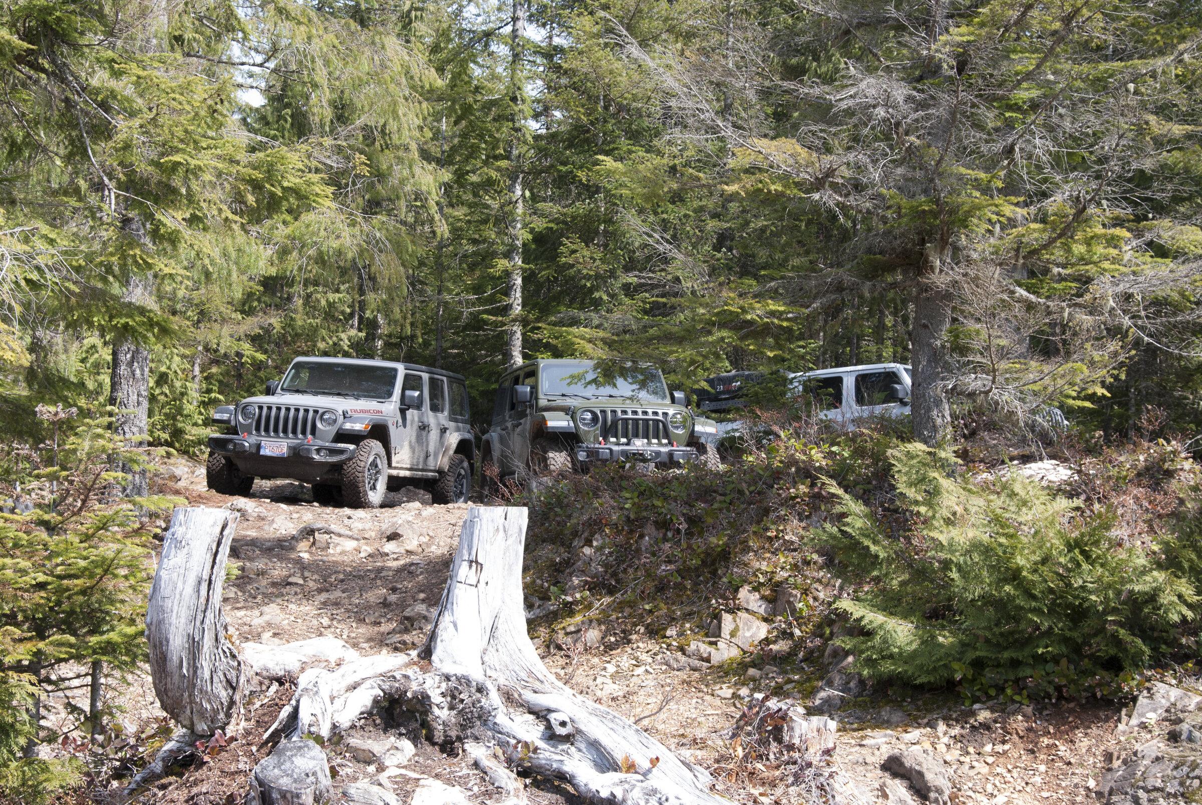 Jeep Gladiator #teamGF #CDR - JT Gladiator Overland Build (Blucid) jeepjeep_4