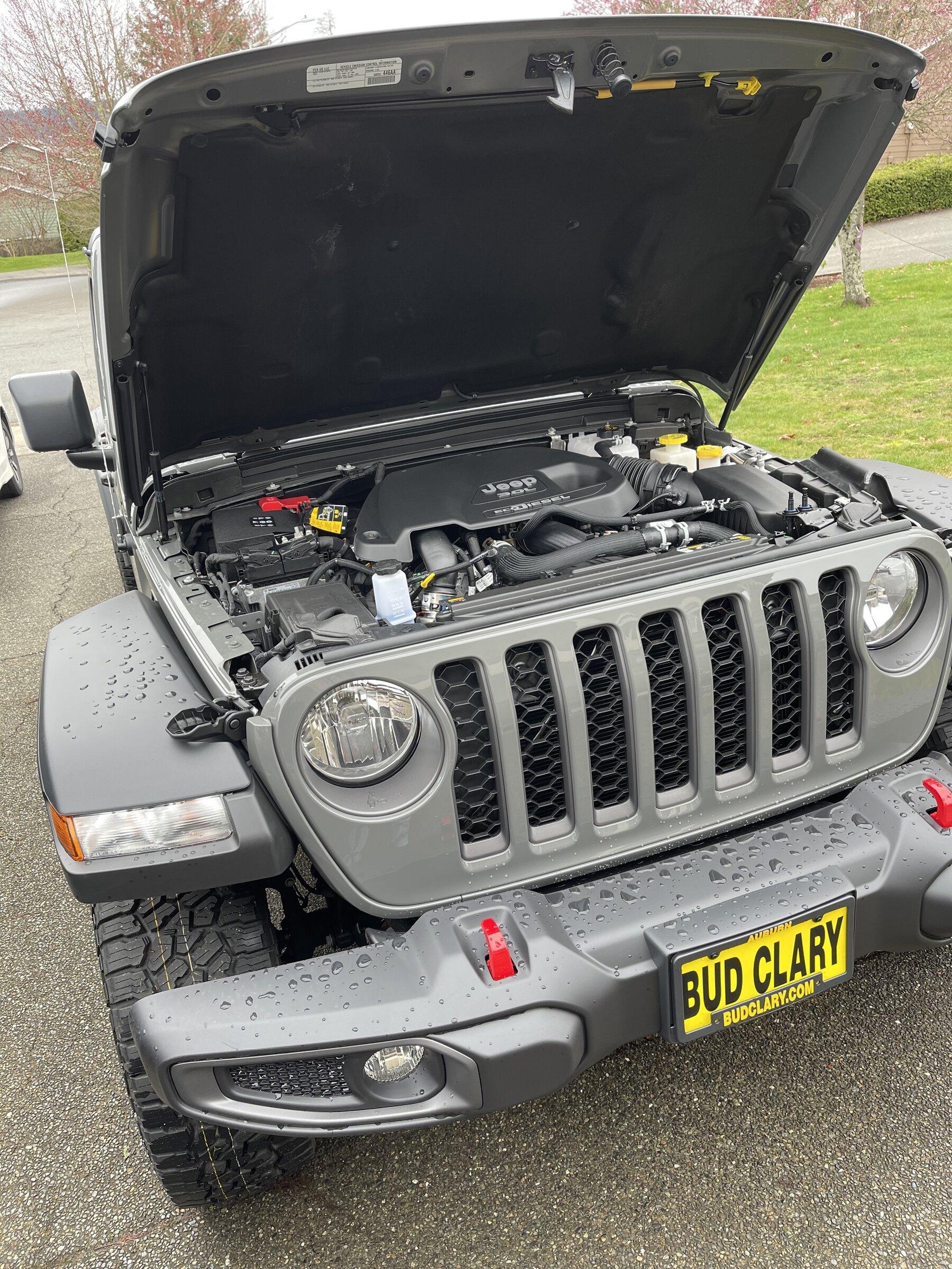 Jeep Gladiator Ihar's 2022 Sting Gray JTRD Build FB18BDC8-DB54-44DF-B5CF-19320B74D214
