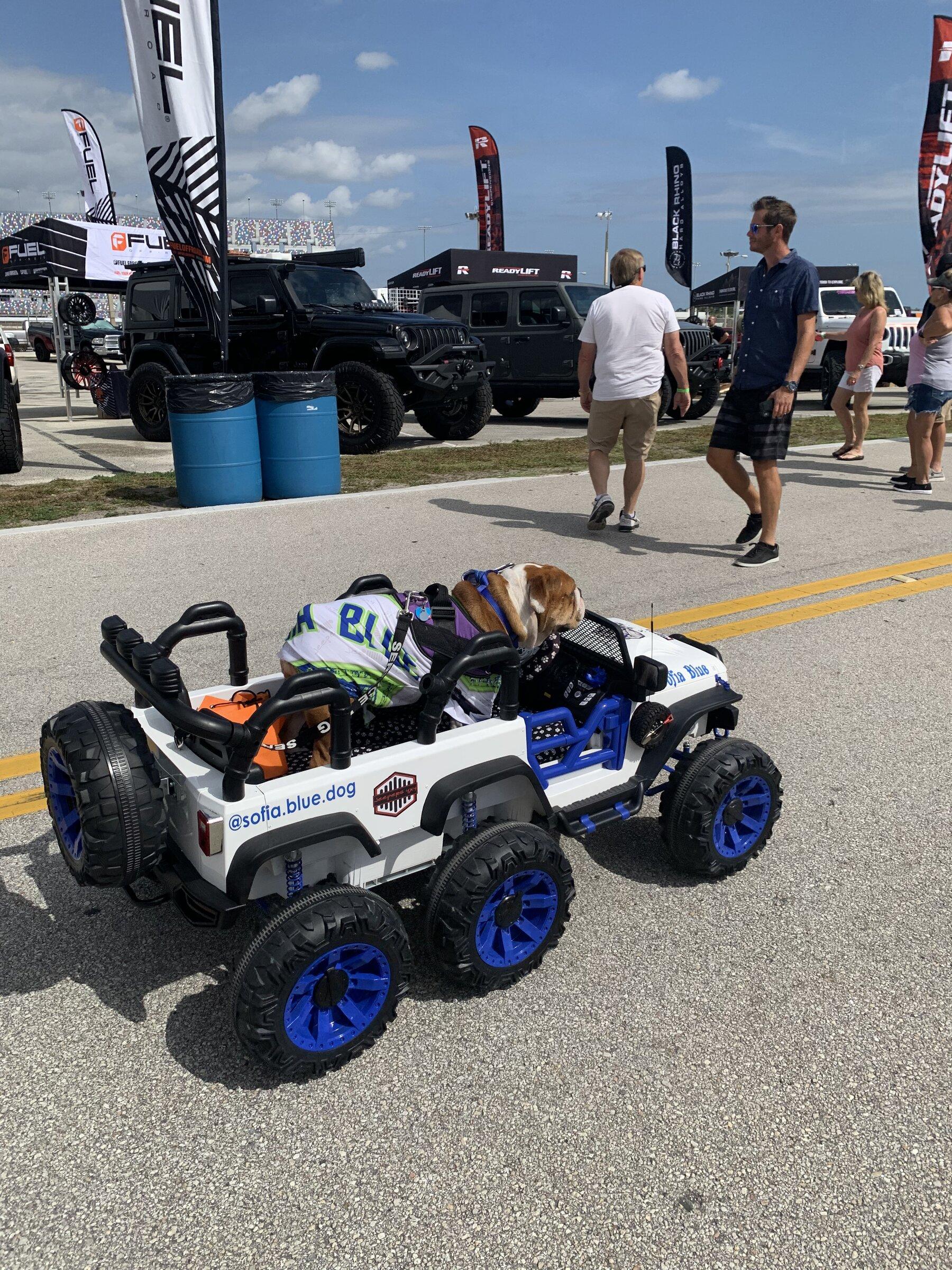 Jeep Gladiator Jeep Beach 2022 Daytona Beach 7FE77028-9086-4656-8023-3509C2E829FF