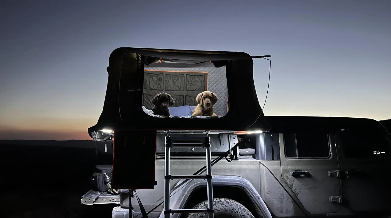 Jeep Gladiator What did you do WITH your Gladiator today? B74E7E70-76E8-4D7D-866D-C15710F0C7F9