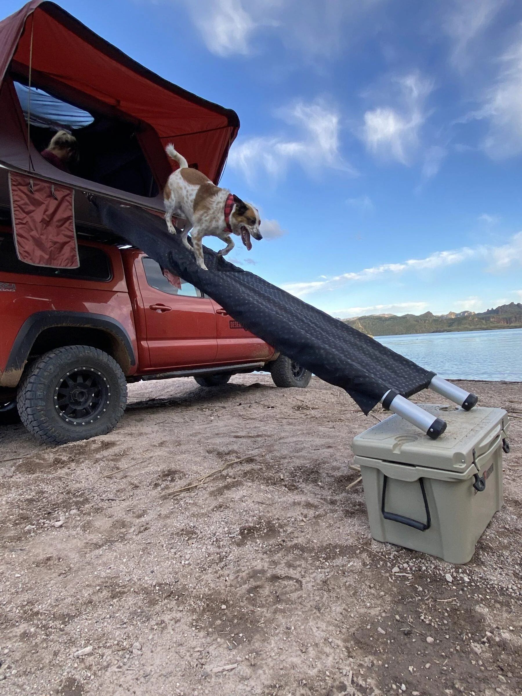 Jeep Gladiator What did you do WITH your Gladiator today? DB174809-DA09-4A2D-864F-C3ACB0A8A11E