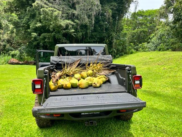 Jeep Gladiator Volcano Rated Hawaii Jeep IMG_0032