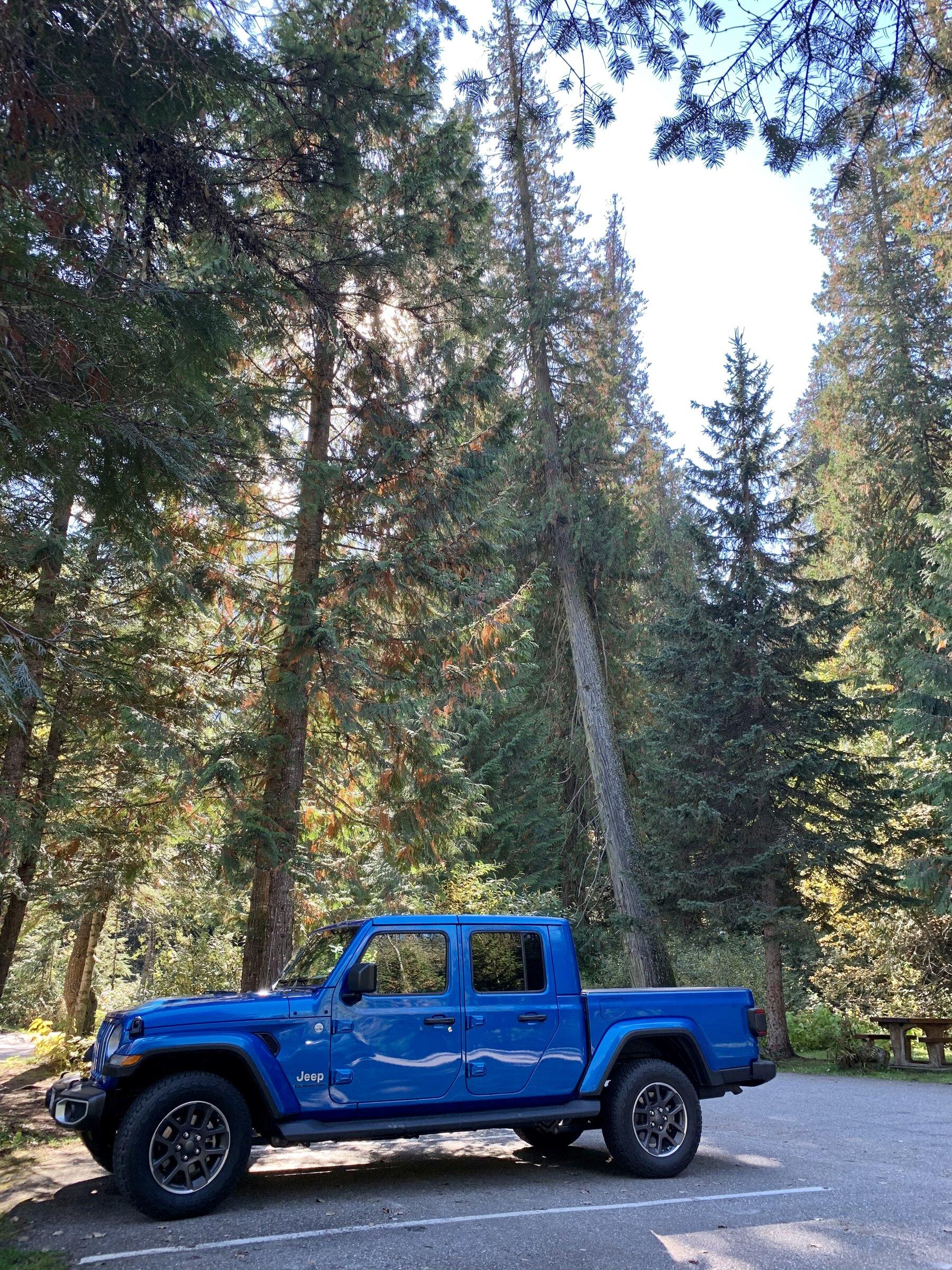 Jeep Gladiator Would love to see Jeeps that are owned by women! 9FC18A44-0508-4537-896F-2D6A4D60F342