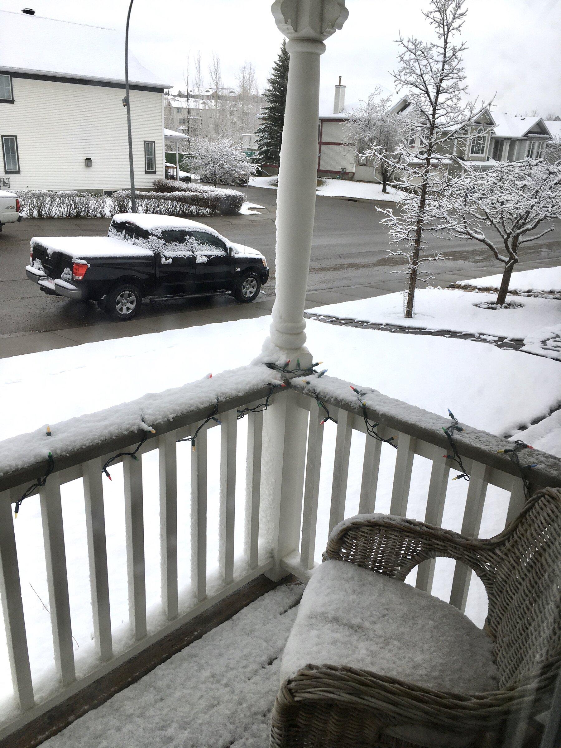 Jeep Gladiator Woke up and had a nightmare 7CBD4FEB-5F1E-49C8-9722-1B42DD64E535