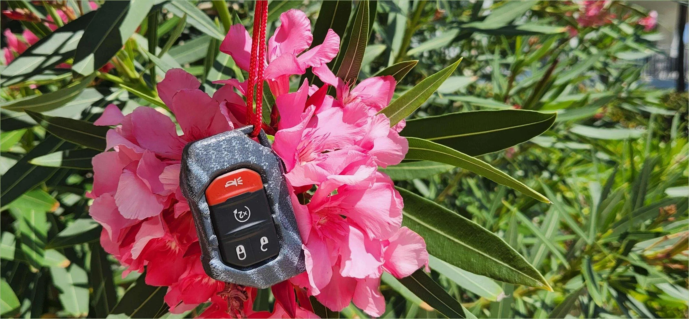 Jeep Gladiator ? It's FOB o'clock somewhere! ⛱ 20220504_121316