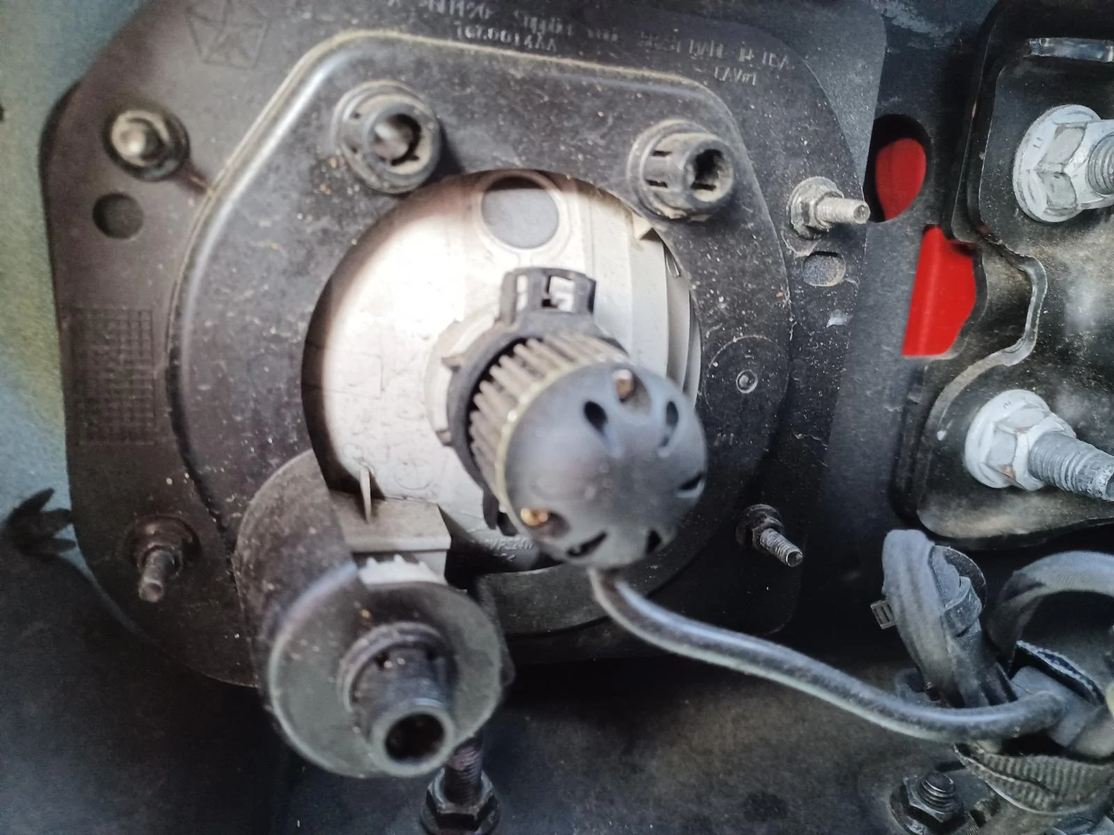 Jeep Gladiator Do the halogen fog lights fit the steel Mopar bumper? LED upgrade recommendations? 20220510_072030