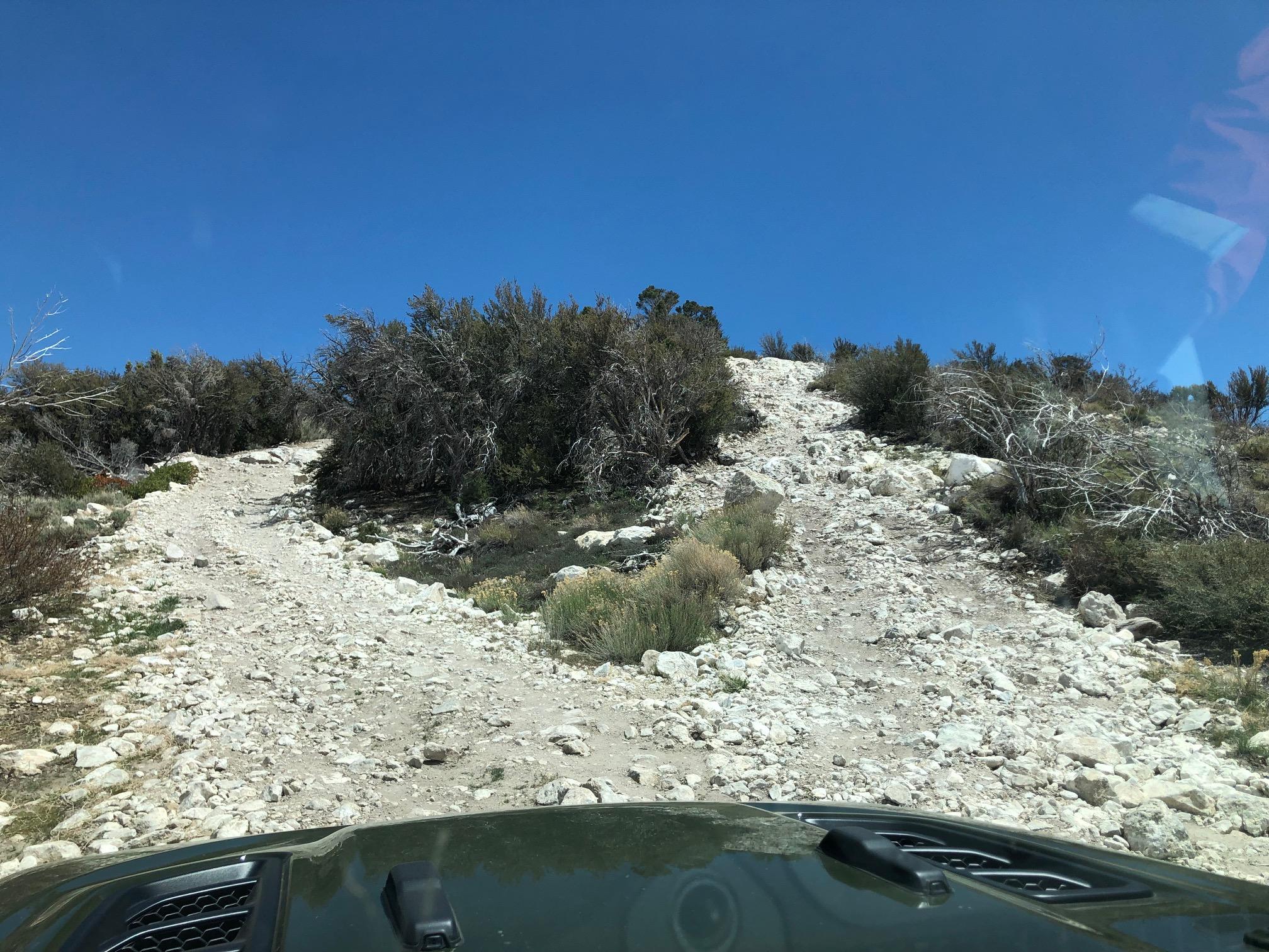 Jeep Gladiator What did you do WITH your Gladiator today? 1652238925203