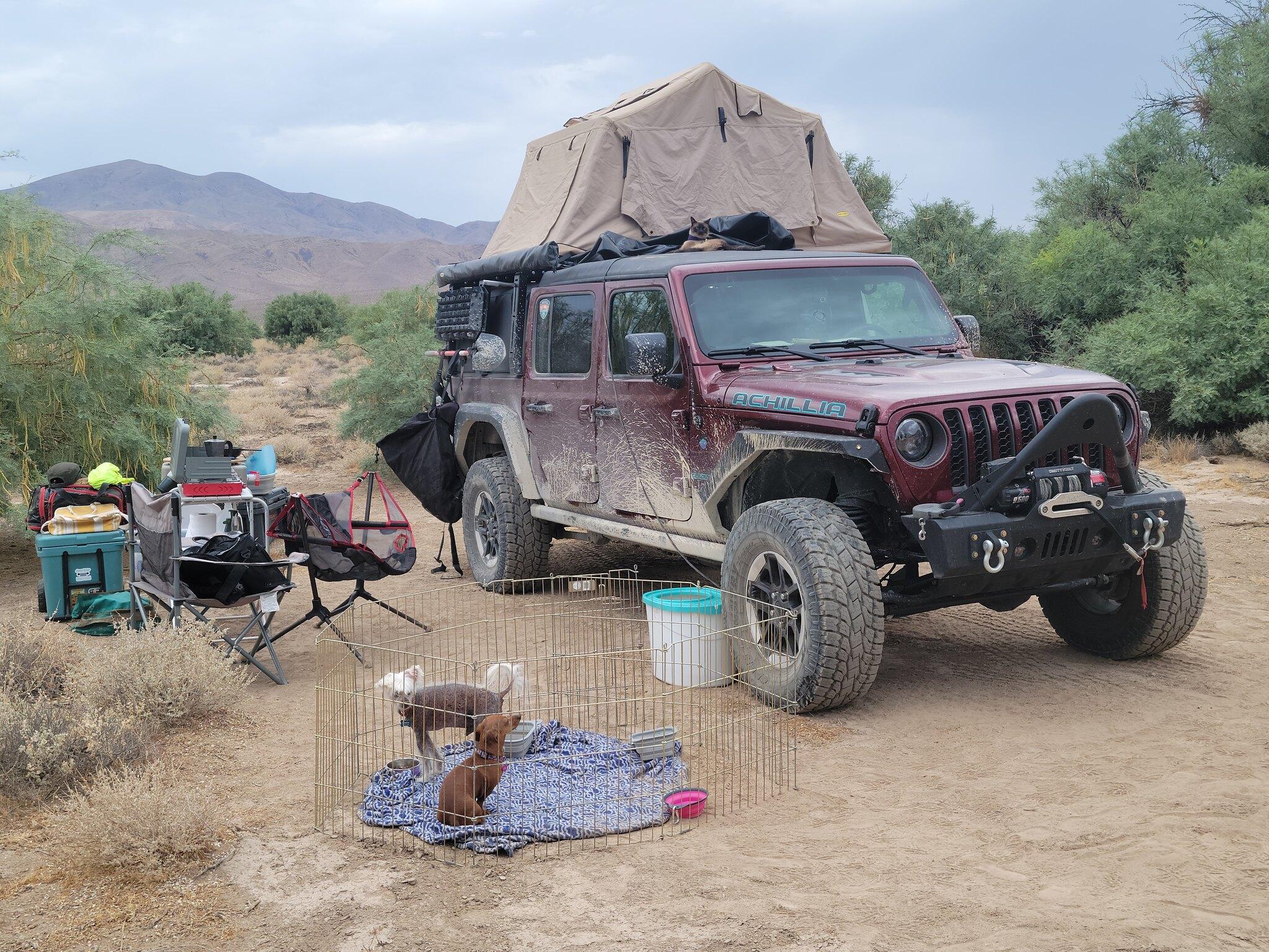 Jeep Gladiator Nevada Backcountry Discovery Route 51353627213_2abfe95ea4_k
