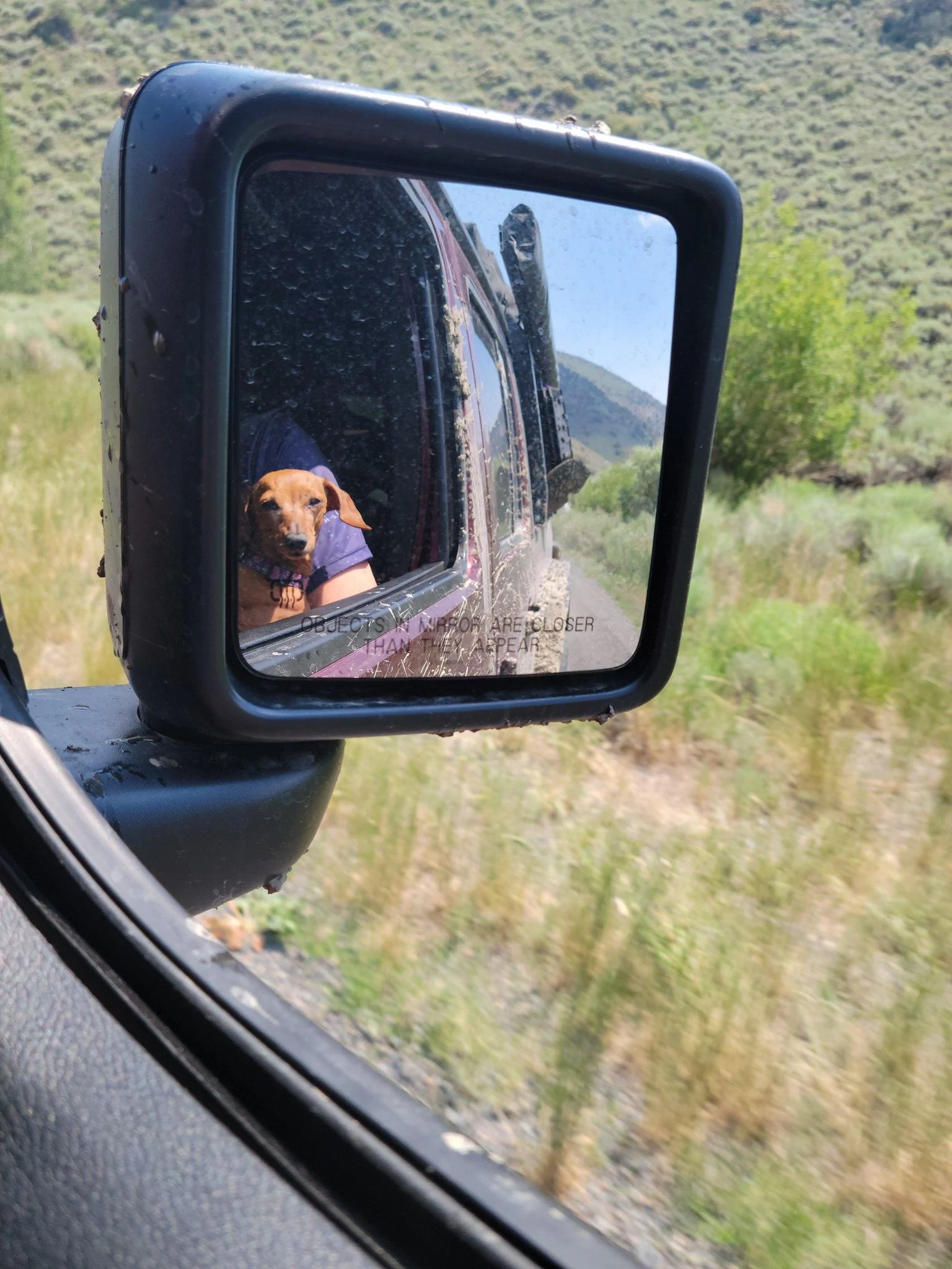 Jeep Gladiator Nevada Backcountry Discovery Route 51354403130_ddb11d4a14_k
