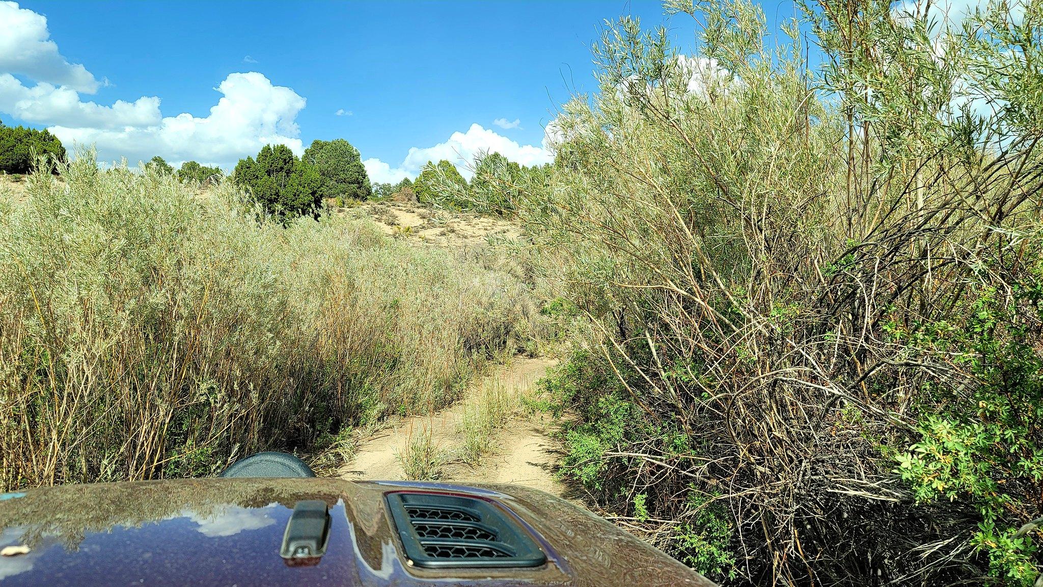 Jeep Gladiator Nevada Backcountry Discovery Route 51350601487_4083b2082e_k