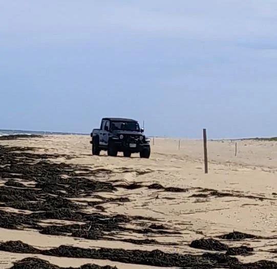 Jeep Gladiator Beach wheeling Cape Cod National Seashore! 20220510_103816