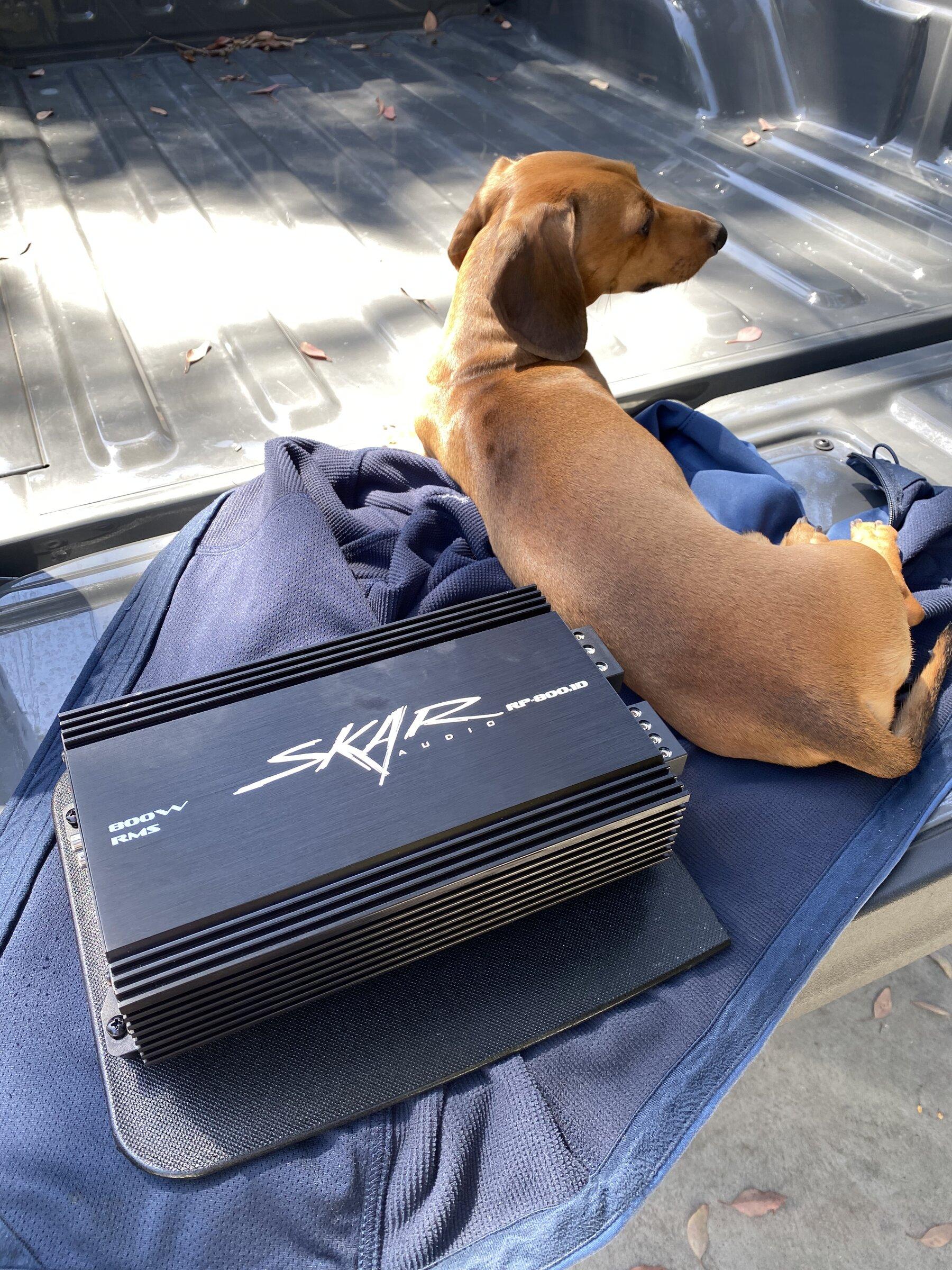 Jeep Gladiator DIY Amp “rack” on the cheap (cutting board) 613F4641-3599-440A-BA90-6CDB357BA289
