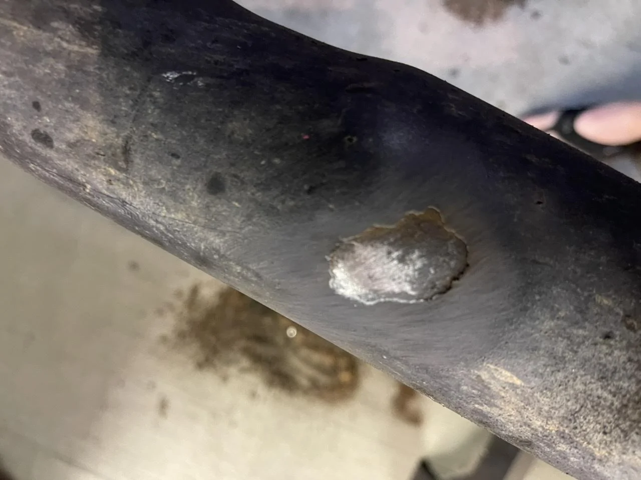 Jeep Gladiator Is N-Fab junk? 0D20314A-84A3-4232-9B46-211560783D9D