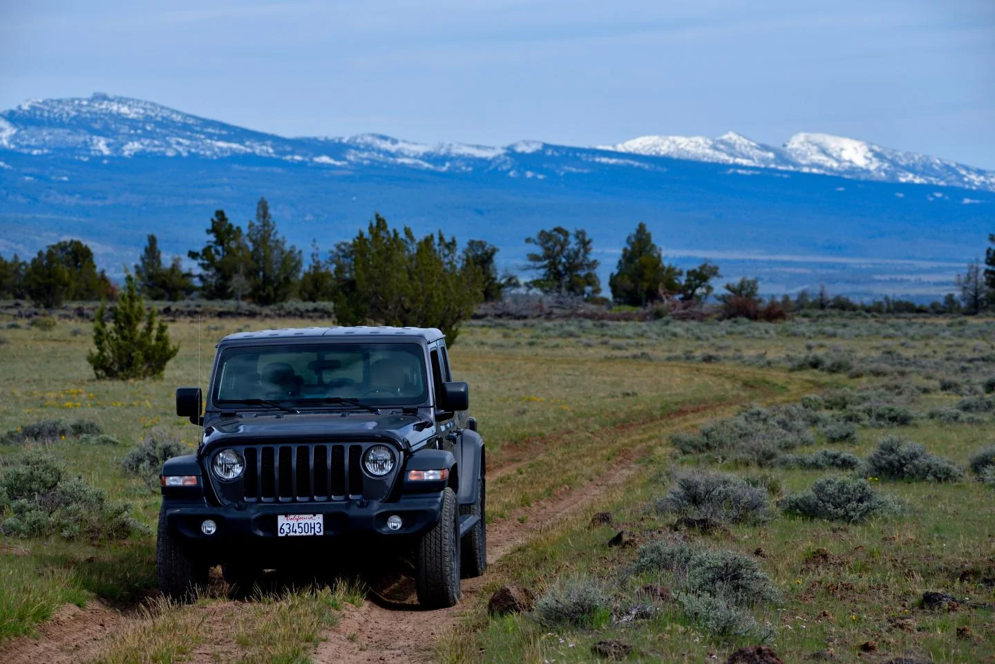 Jeep Gladiator What did you do WITH your Gladiator today? _DSC6007_01