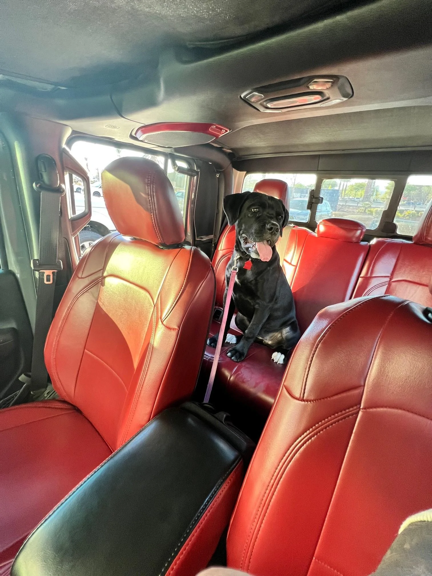 Jeep Gladiator Colored Seat Covers? a