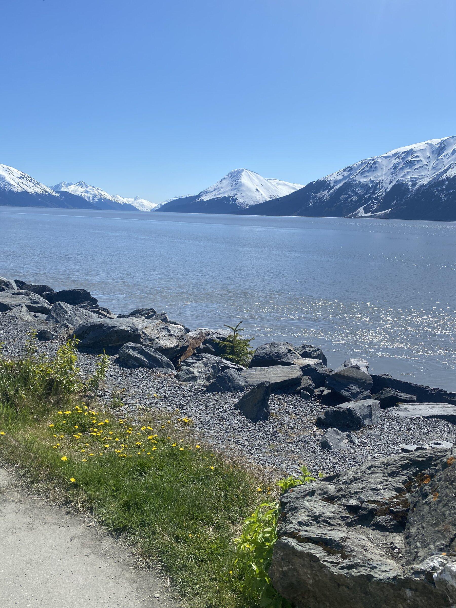 Jeep Gladiator Day Tripping Alaska Style FFD74632-6FF6-410C-82C2-F24EE859F324