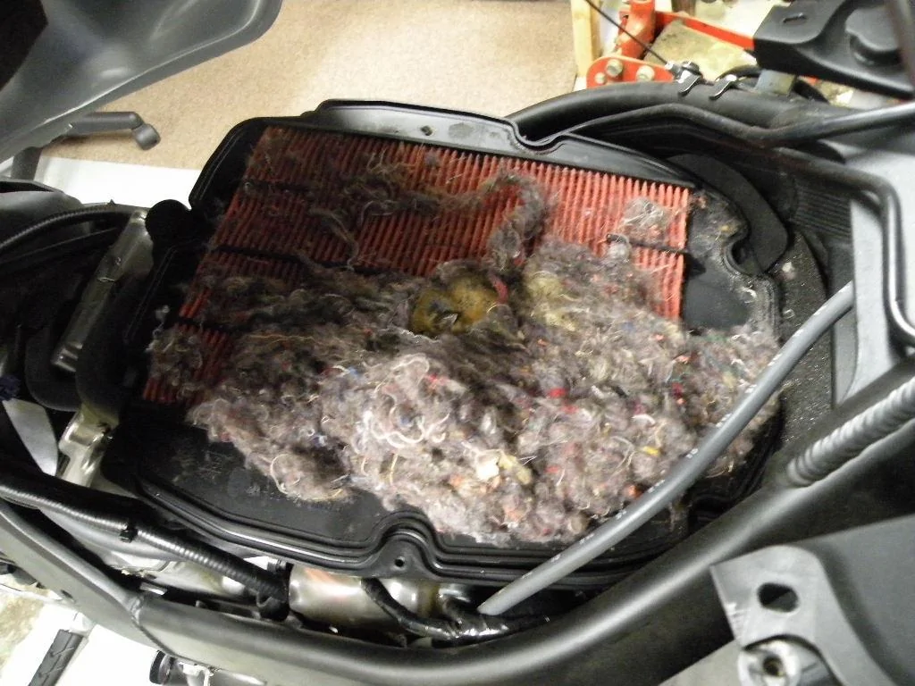 Jeep Gladiator Mouse & Varmint-proof Engine Air Intake Project DSCN0322