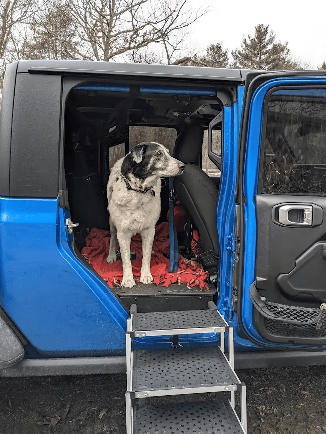 Jeep Gladiator Thanks for the fun here! 1653512991157