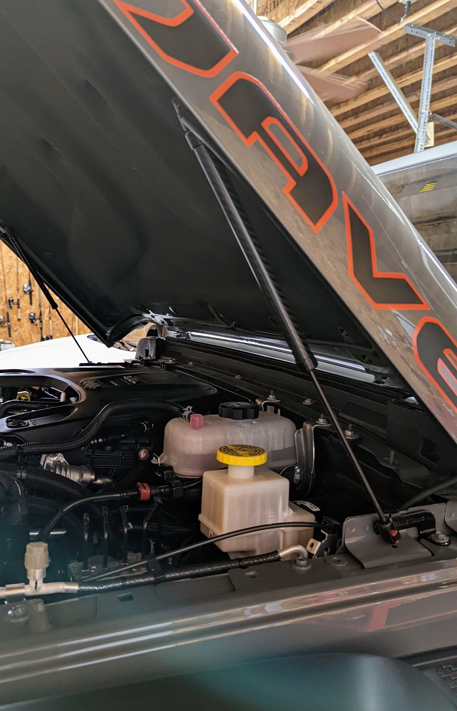 Jeep Gladiator What did you do TO your Gladiator today? [ADMIN WARNING: NO POLITICS, NO GUN TALK] PXL_20220526_041150613~3