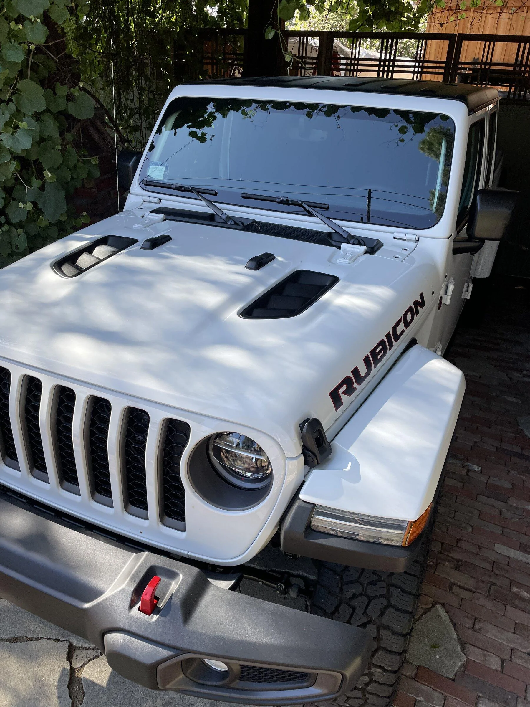 Jeep Gladiator New member with a new buddy 26EC56C8-3615-4621-A3F1-97F6788CBEC3