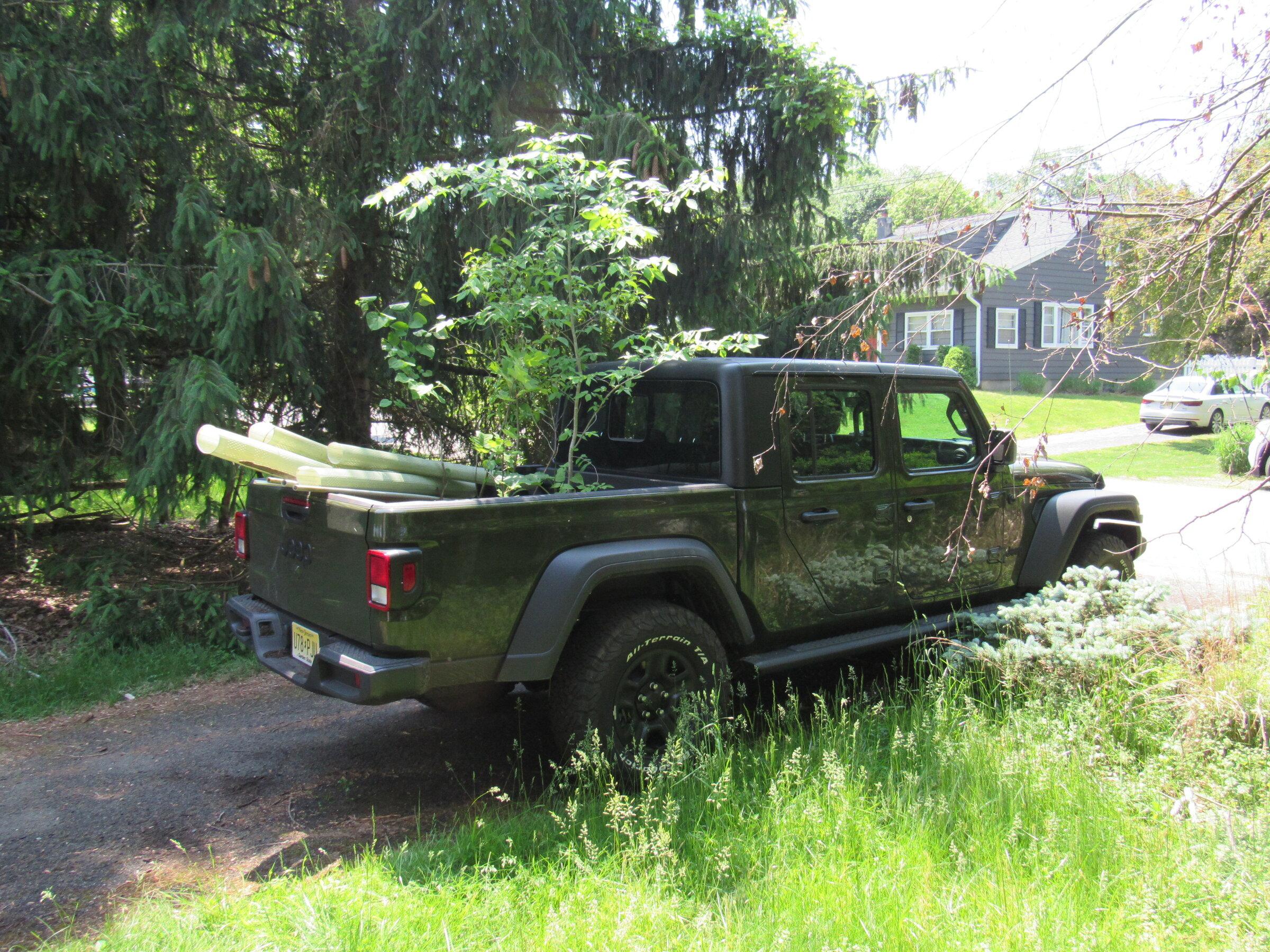 Jeep Gladiator What did you do WITH your Gladiator today? IMG_4625.JPG