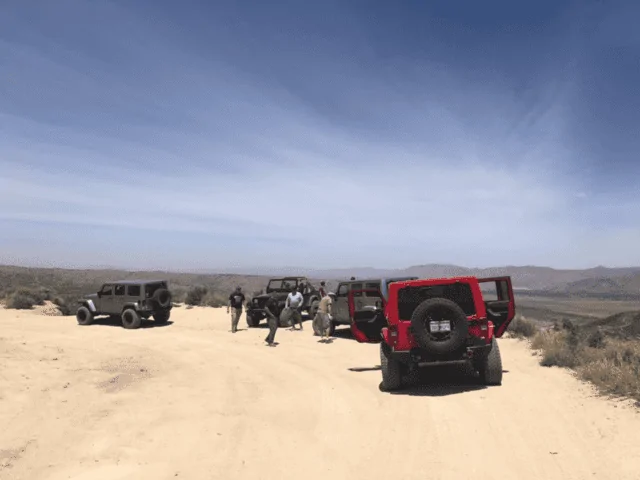 Jeep Gladiator What did you do WITH your Gladiator today? 1653797080844