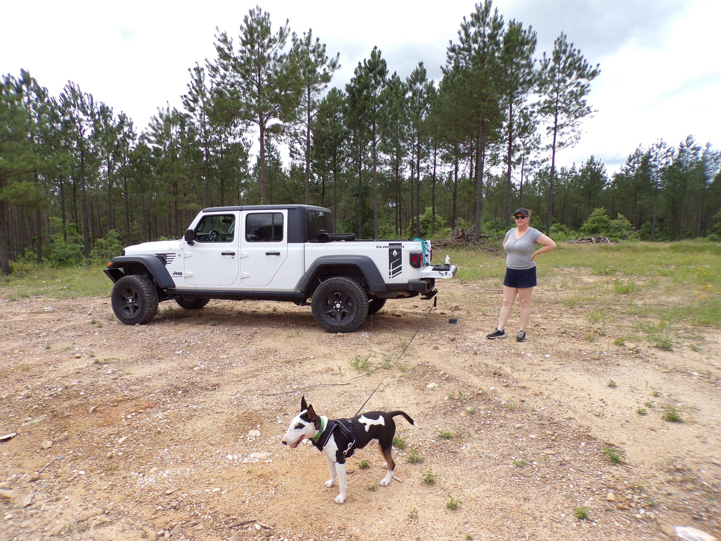 Jeep Gladiator Let’s see your pets cause they are the best companion you can have!!!!! 109_0815.JPG