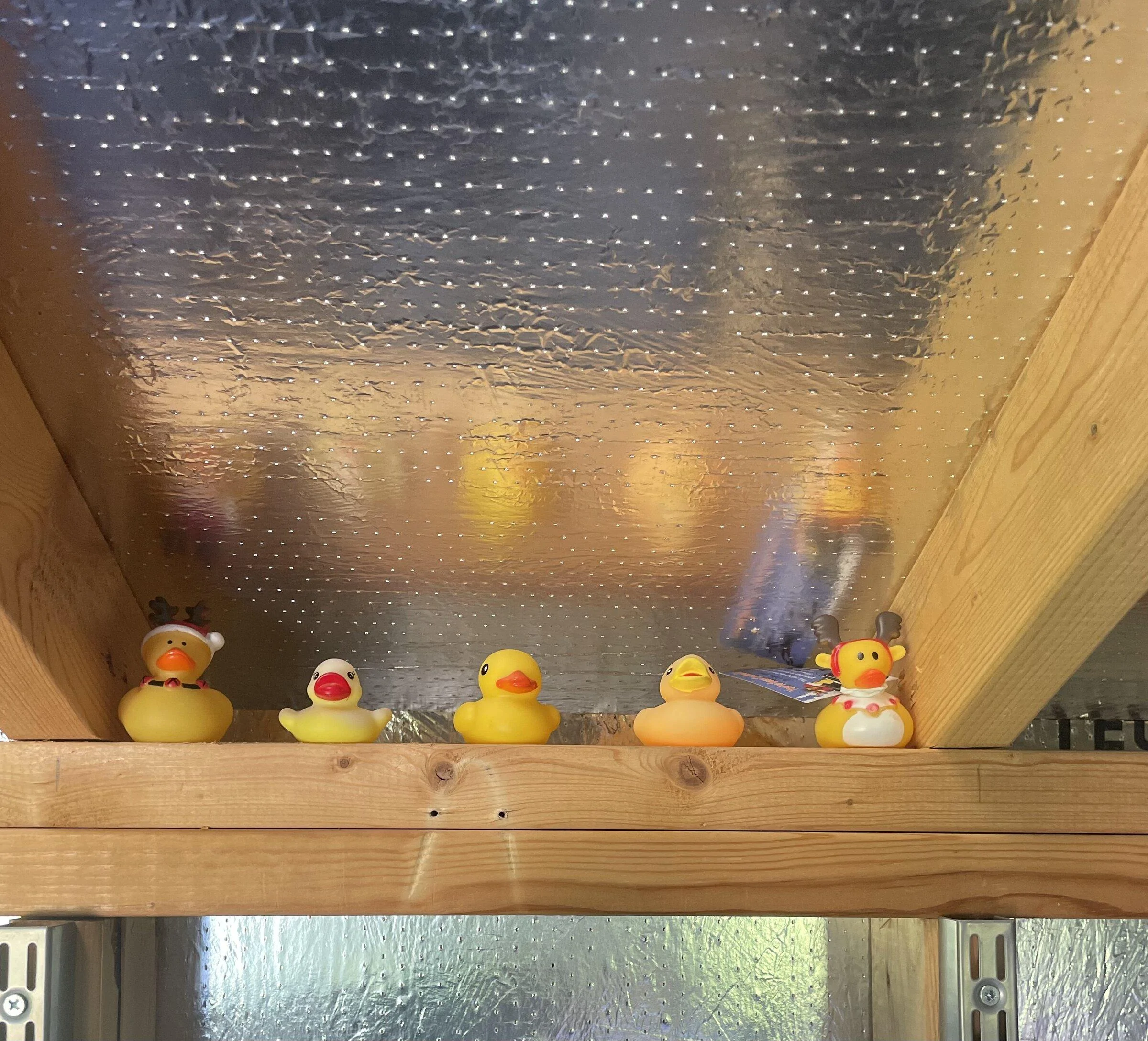 Jeep Gladiator Show me your DUCKS ! 35C90291-DACD-409A-A352-98C203FECE33