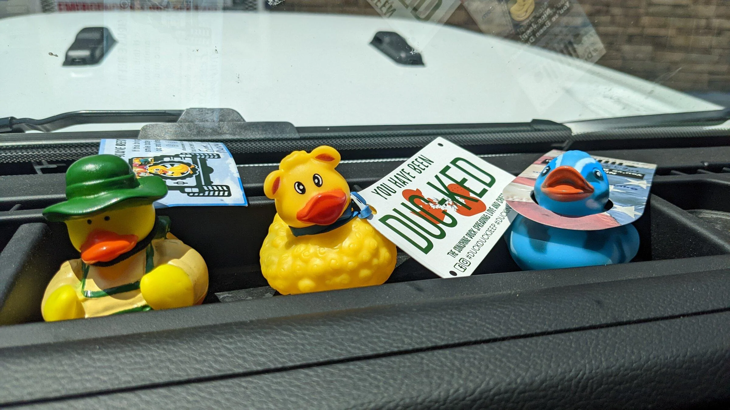 Jeep Gladiator Show me your DUCKS ! Ducks2