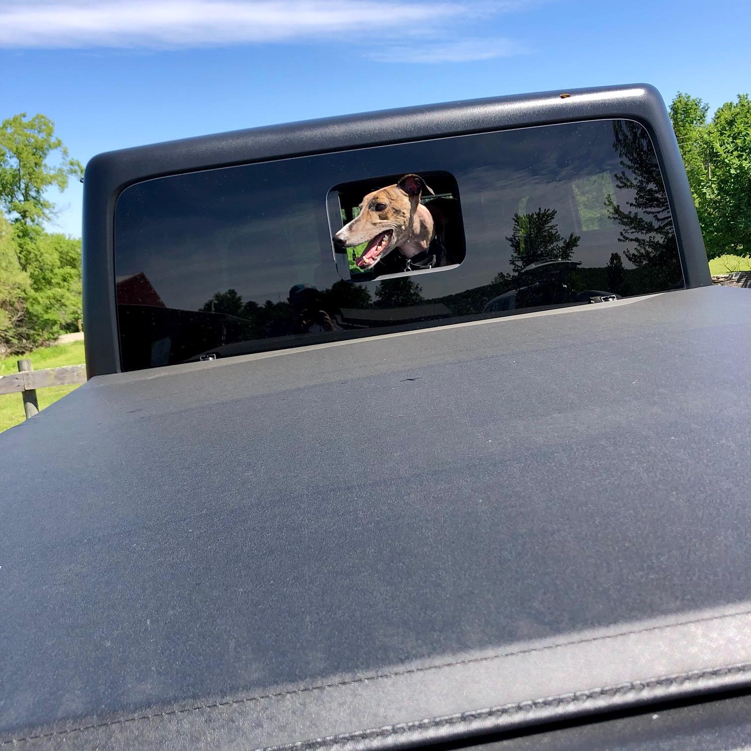 Jeep Gladiator Let’s see your pets cause they are the best companion you can have!!!!! IMG_6176